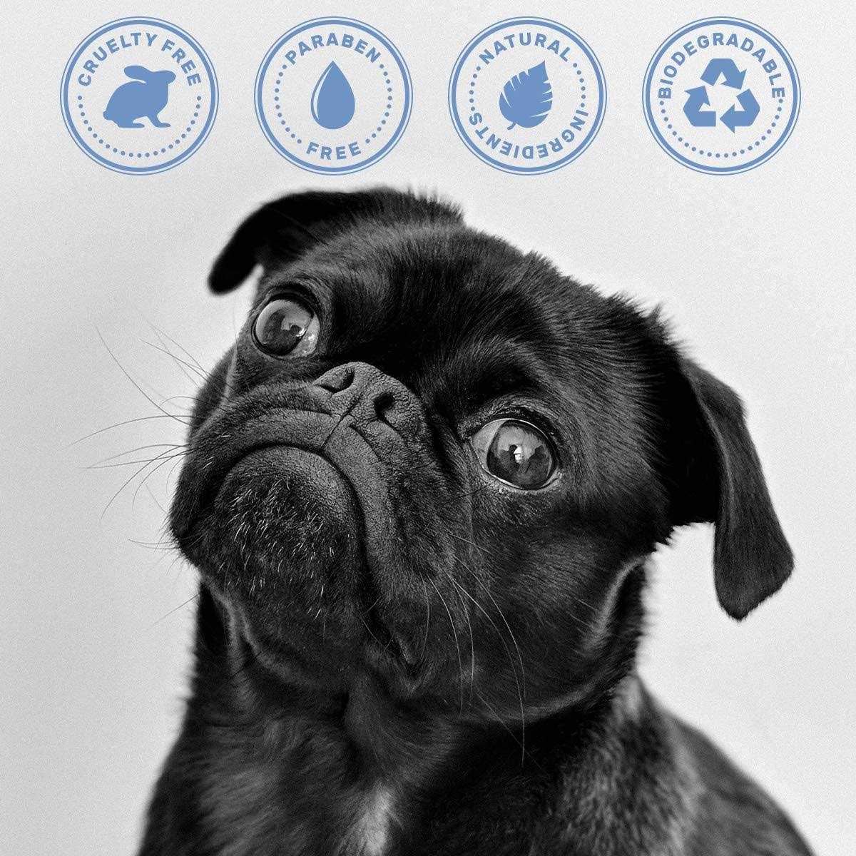 Oliver’s Choice Dog Shampoo with Oatmeal and Aloe. Shea Butter for Smelly Dogs - Healthber