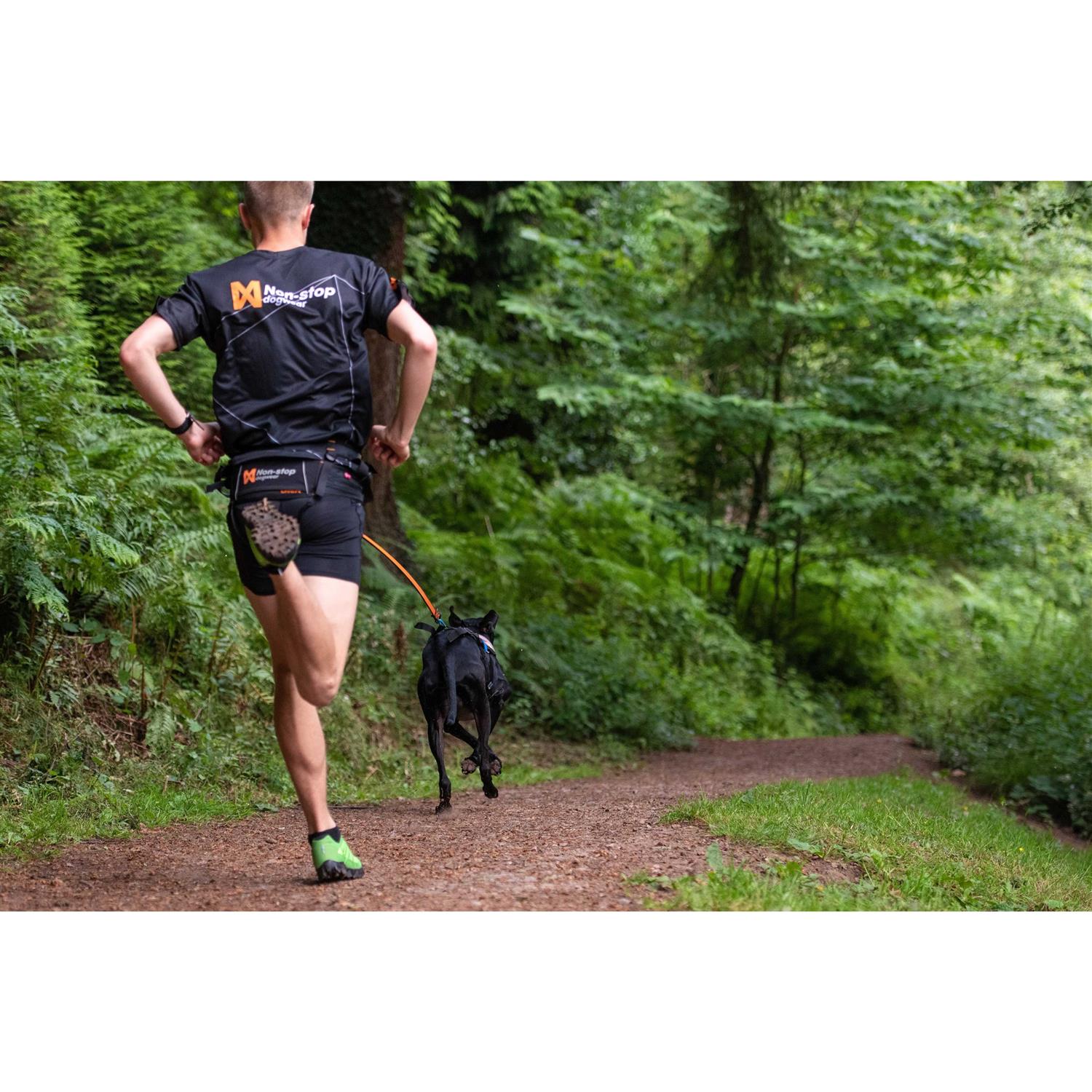 Non-Stop Dogwear Bungee Size - Healthber