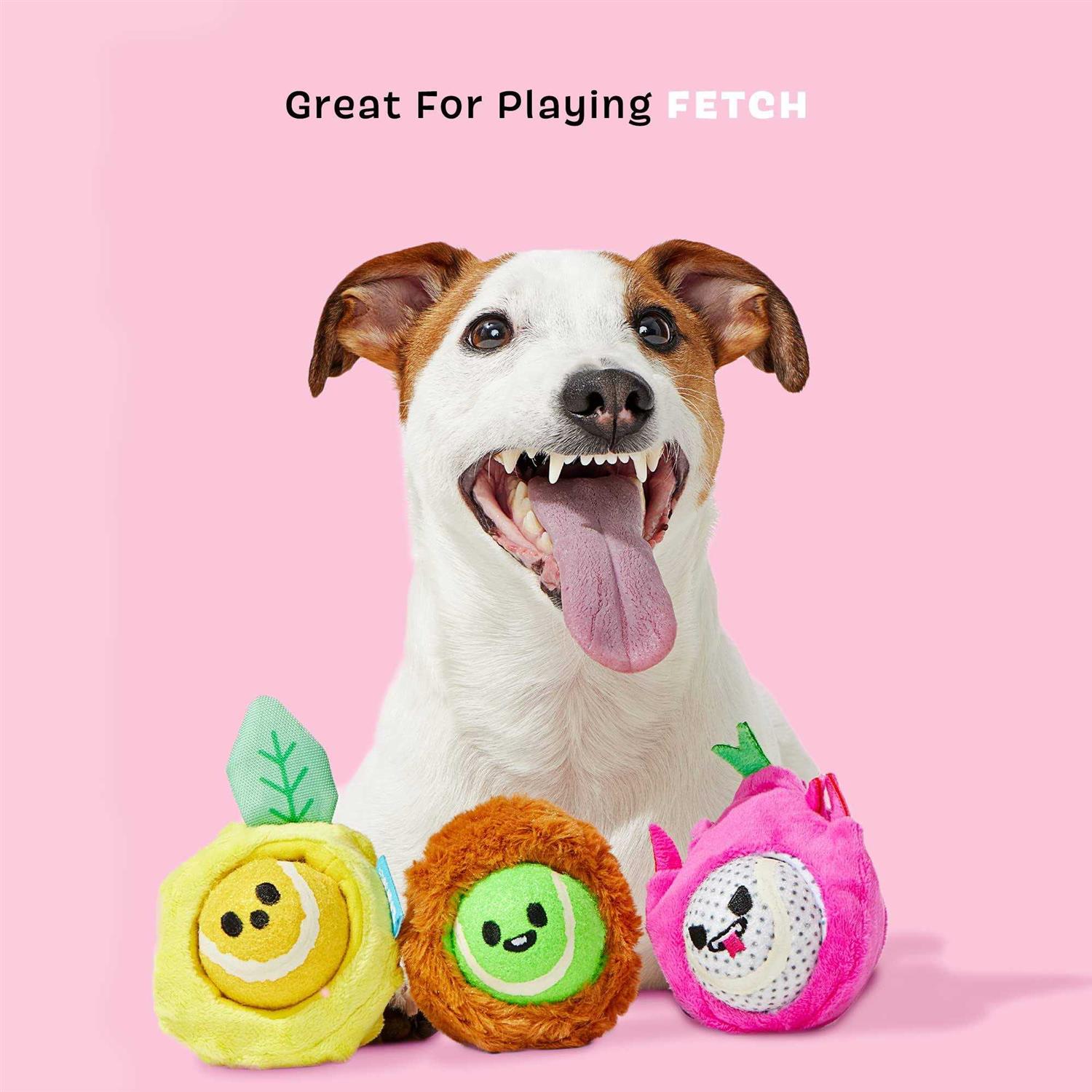 Barkbox Fruity Cutie Tropical Trio Dog Toys Squeaker Ball Toys - Healthber