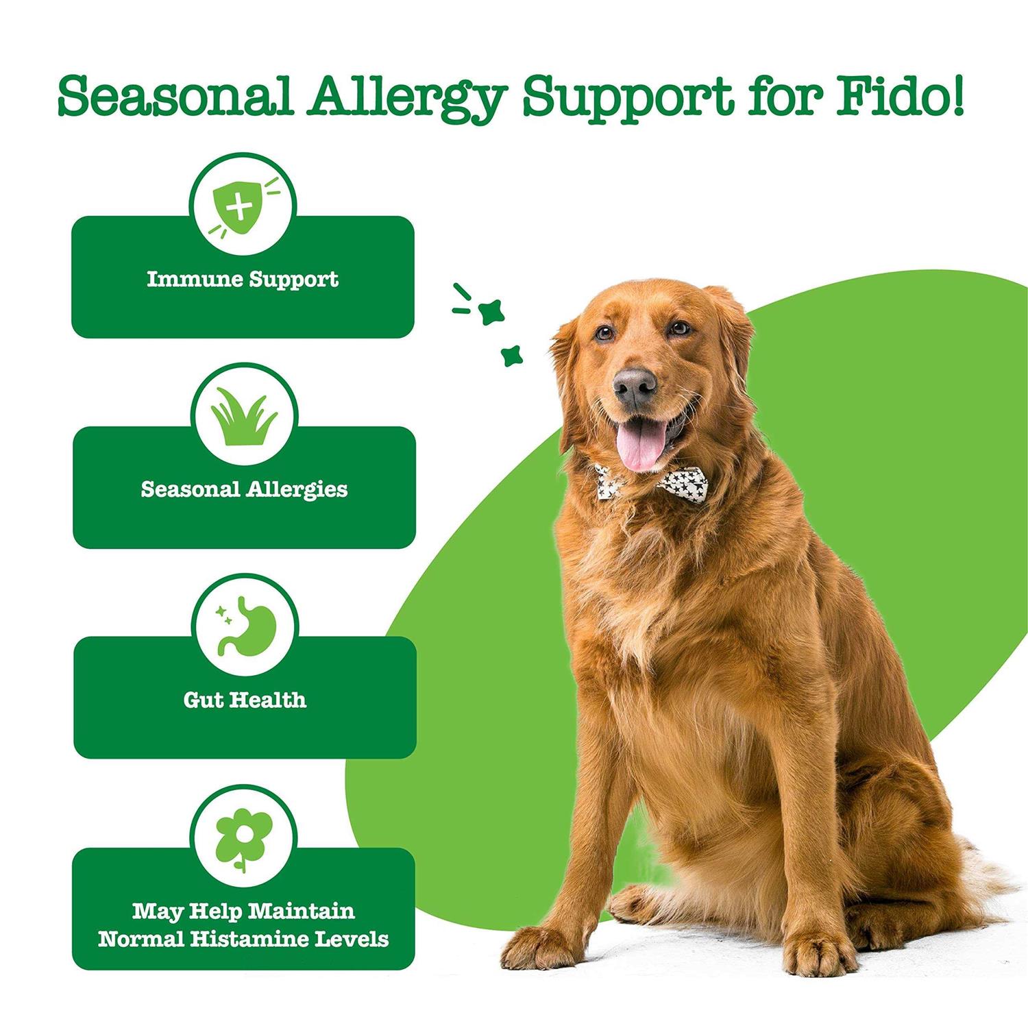 Zesty Paws Hemp Cheese Elements Allergy & Immune Bites for Dogs - Healthber