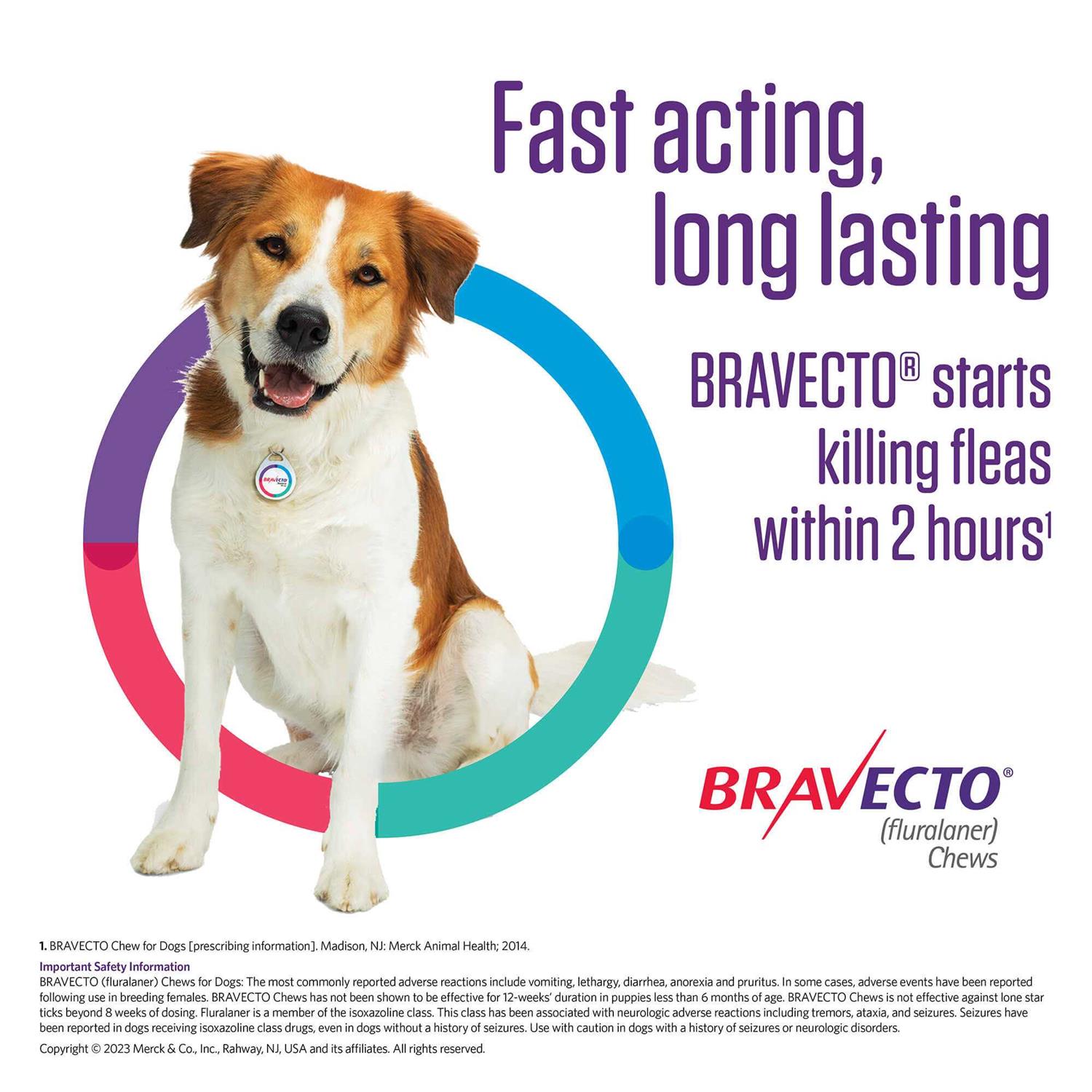 Bravecto Chew for Dogs 88-123 lbs - Healthber