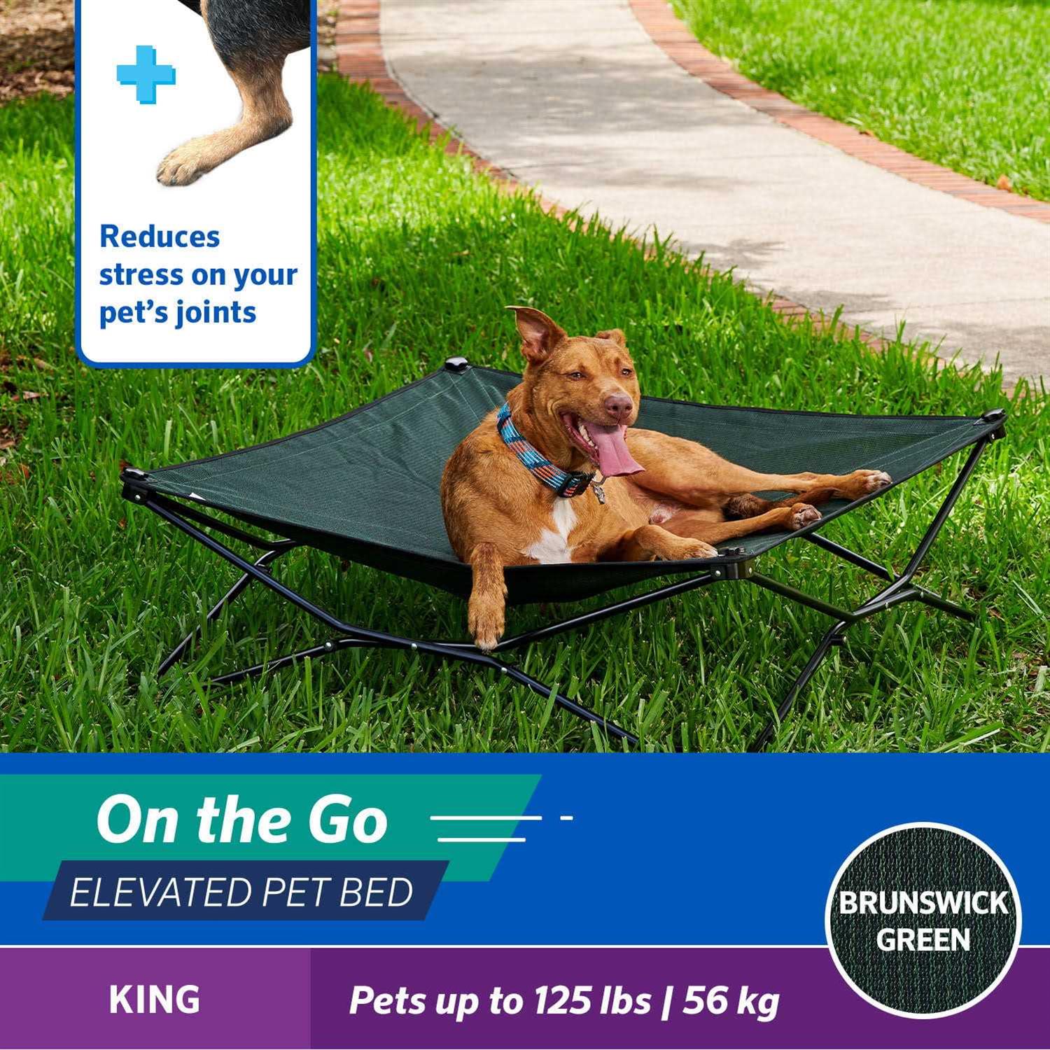 Coolaroo On-the-Go Elevated Pet Bed - Healthber