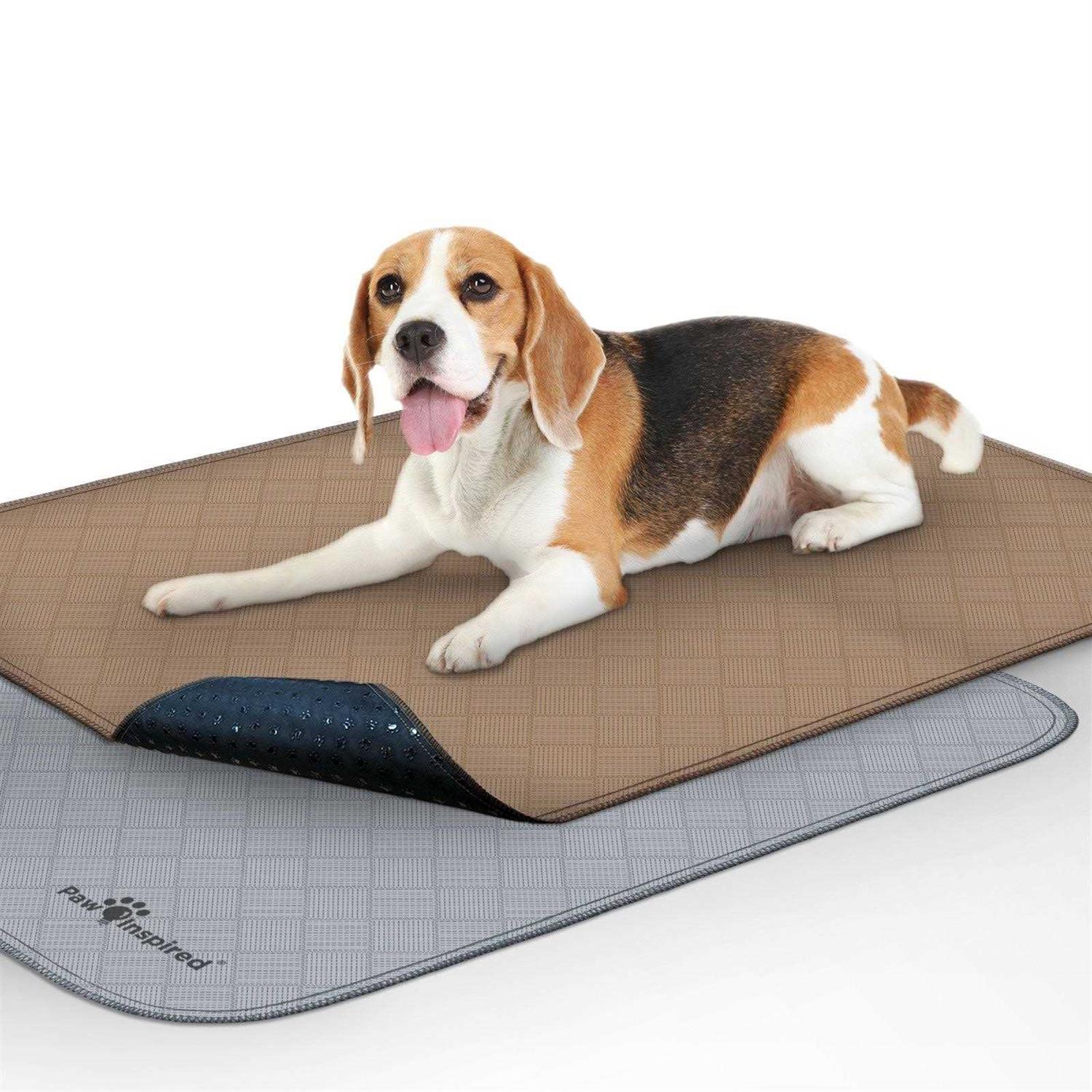 Paw Inspired Washable Pee Pads for Dogs Reusable Puppy Pads - Healthber