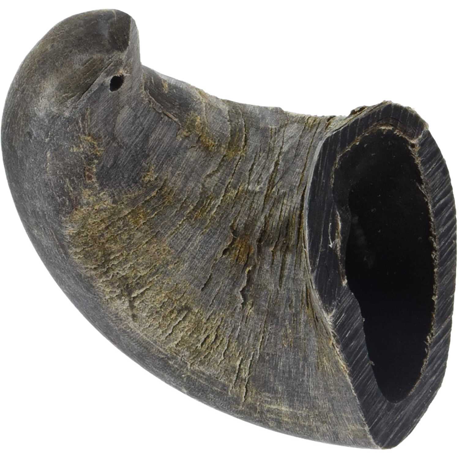 QT Dog Water Buffalo Horn Small - Healthber