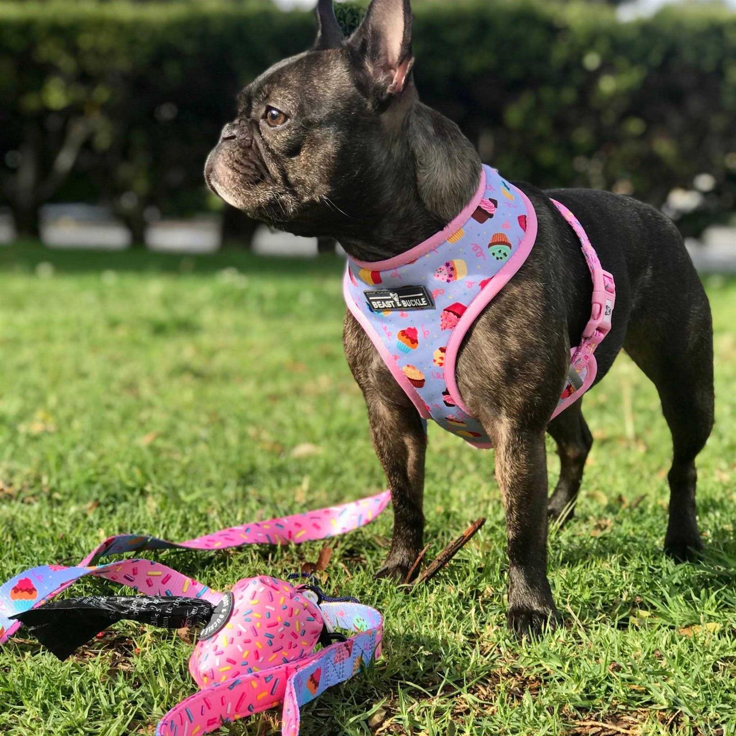 Beast & Buckle Reversible Dog Harness - Healthber