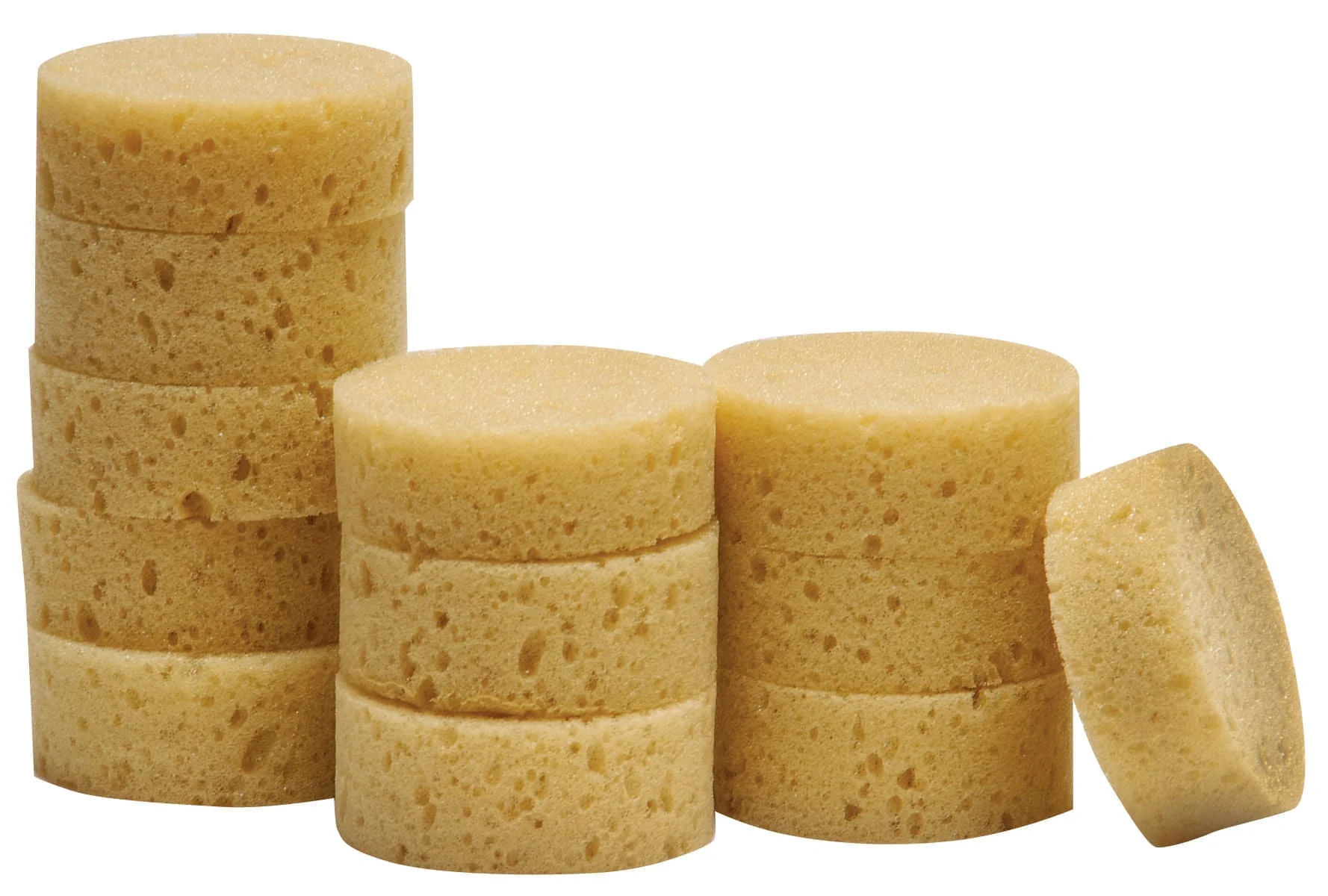 Sponges - Healthber