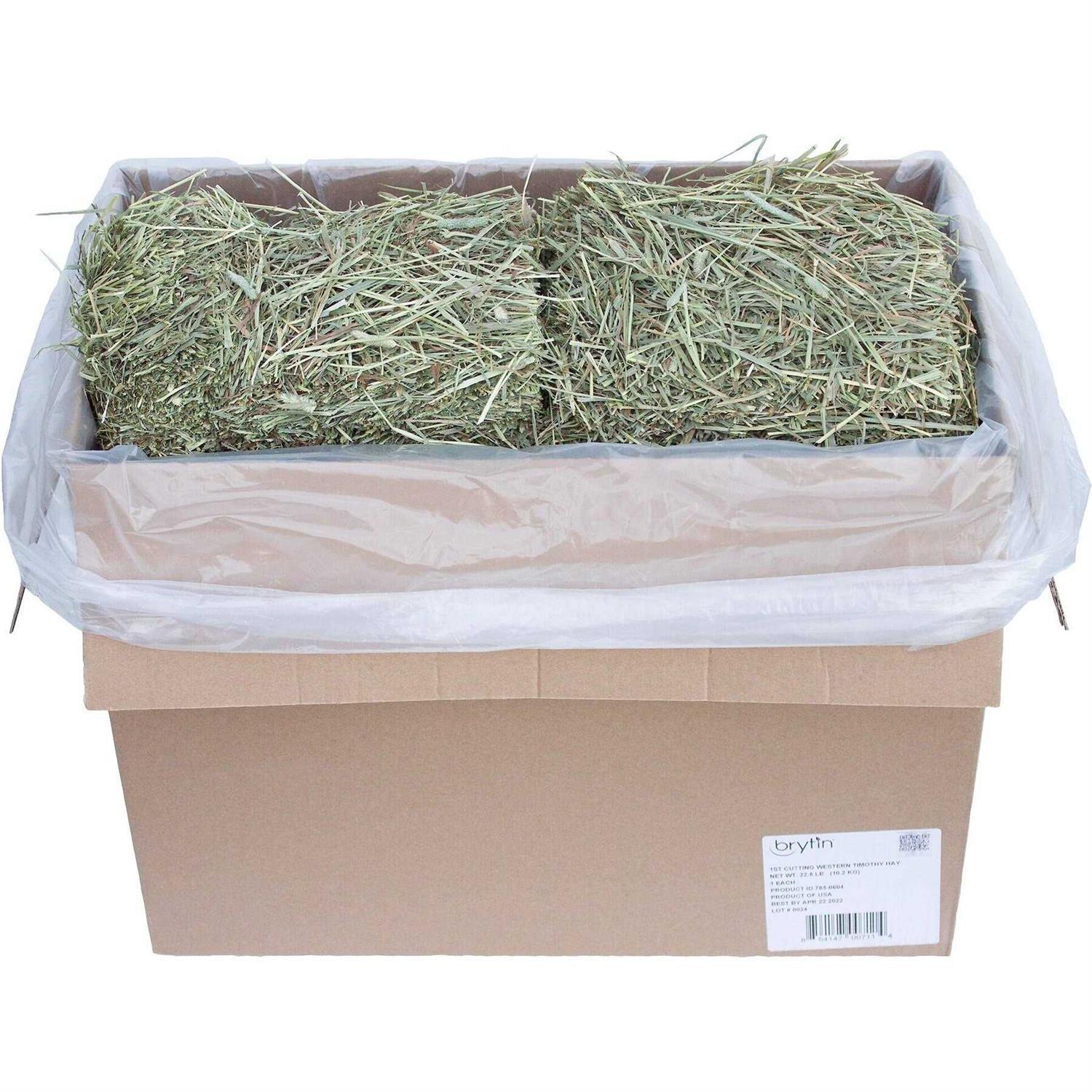 Brytin 1st Cutting All-Natural Western Timothy Hay Chinchilla Food - Healthber