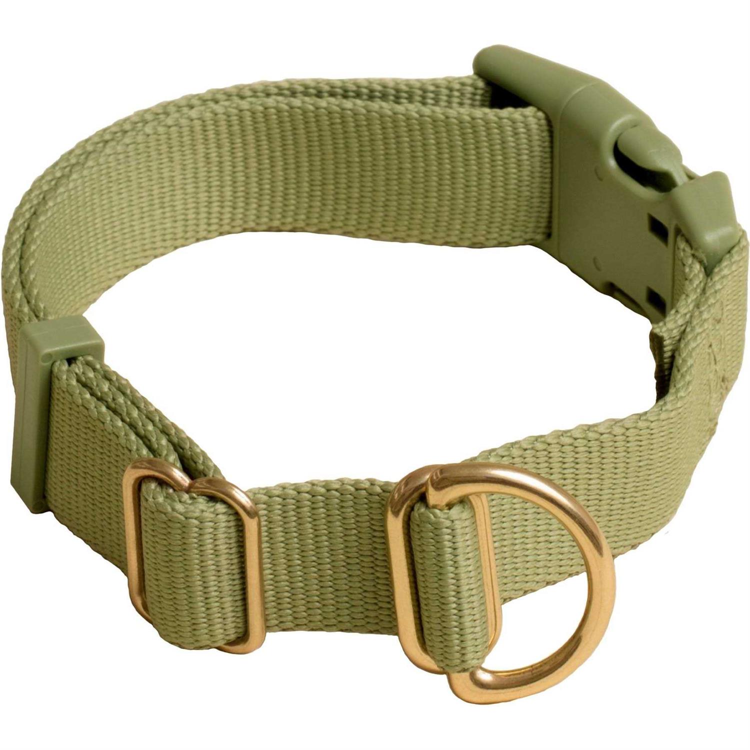 Awoo Pack Standard Dog Collar - Healthber