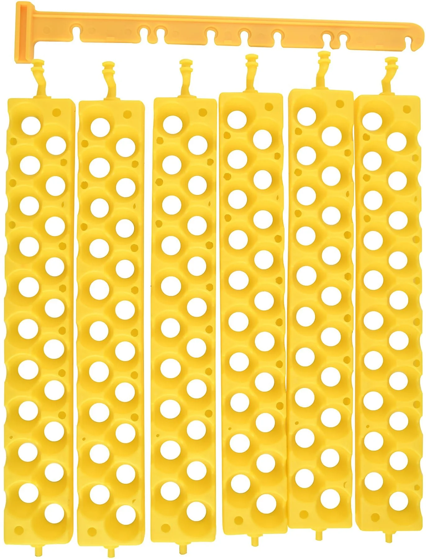 Quail Egg Racks, pkg of 6 - Healthber