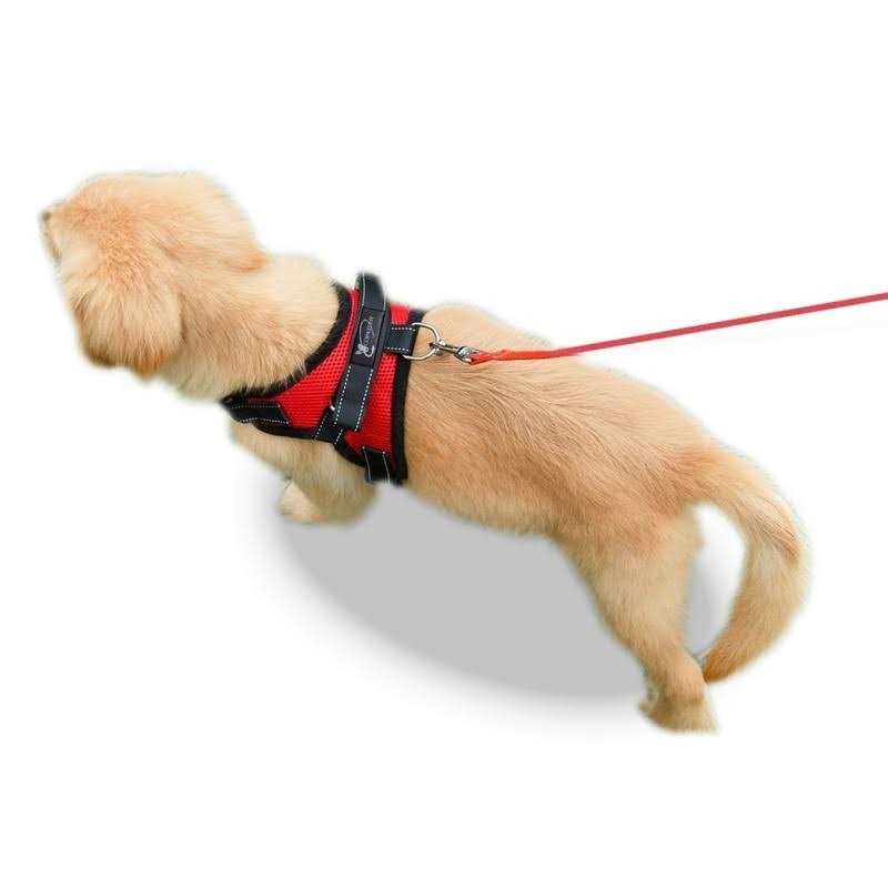 Copatchy No Pull Adjustable Reflective Dog Harness with Handle - Healthber