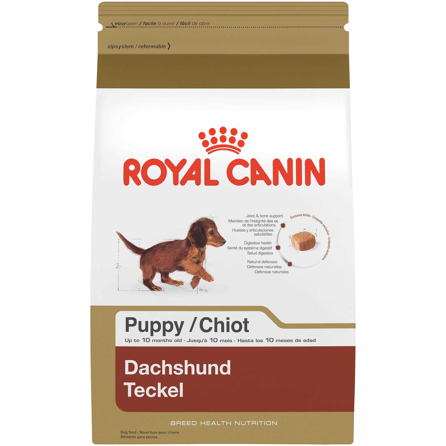 Royal Canin Breed Health Nutrition Dachshund Puppy Dry Dog Food - Healthber