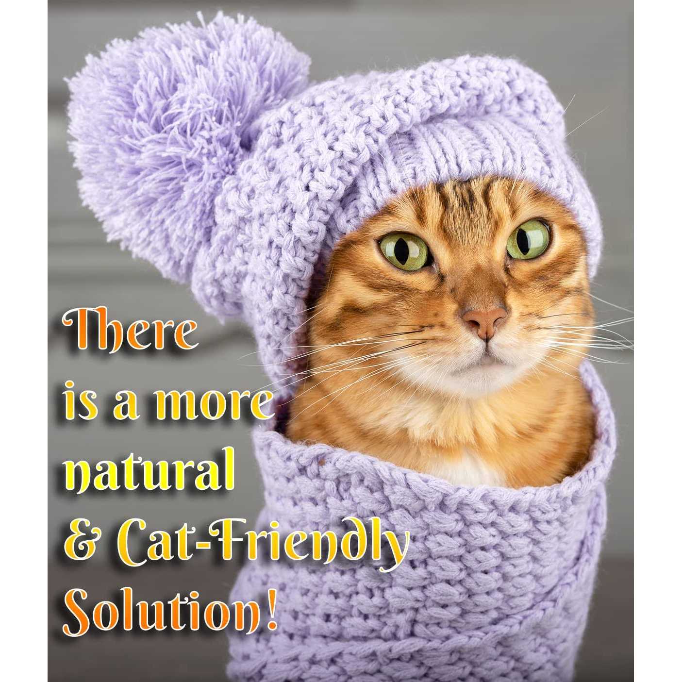 Pet MasterMind Fluffy Feline Cat Dandruff Care Spray - Healthber