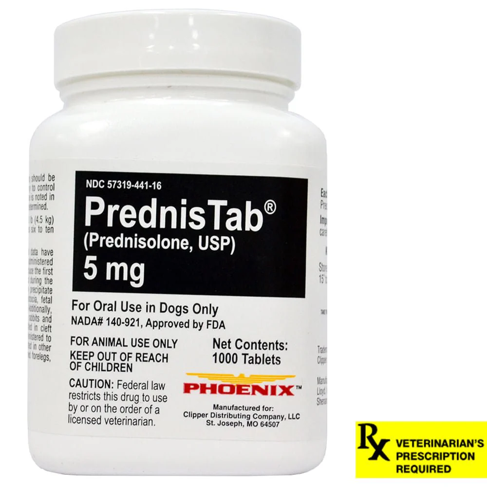 Rx PrednisTab (prednisolone) Oral Tablets - Healthber
