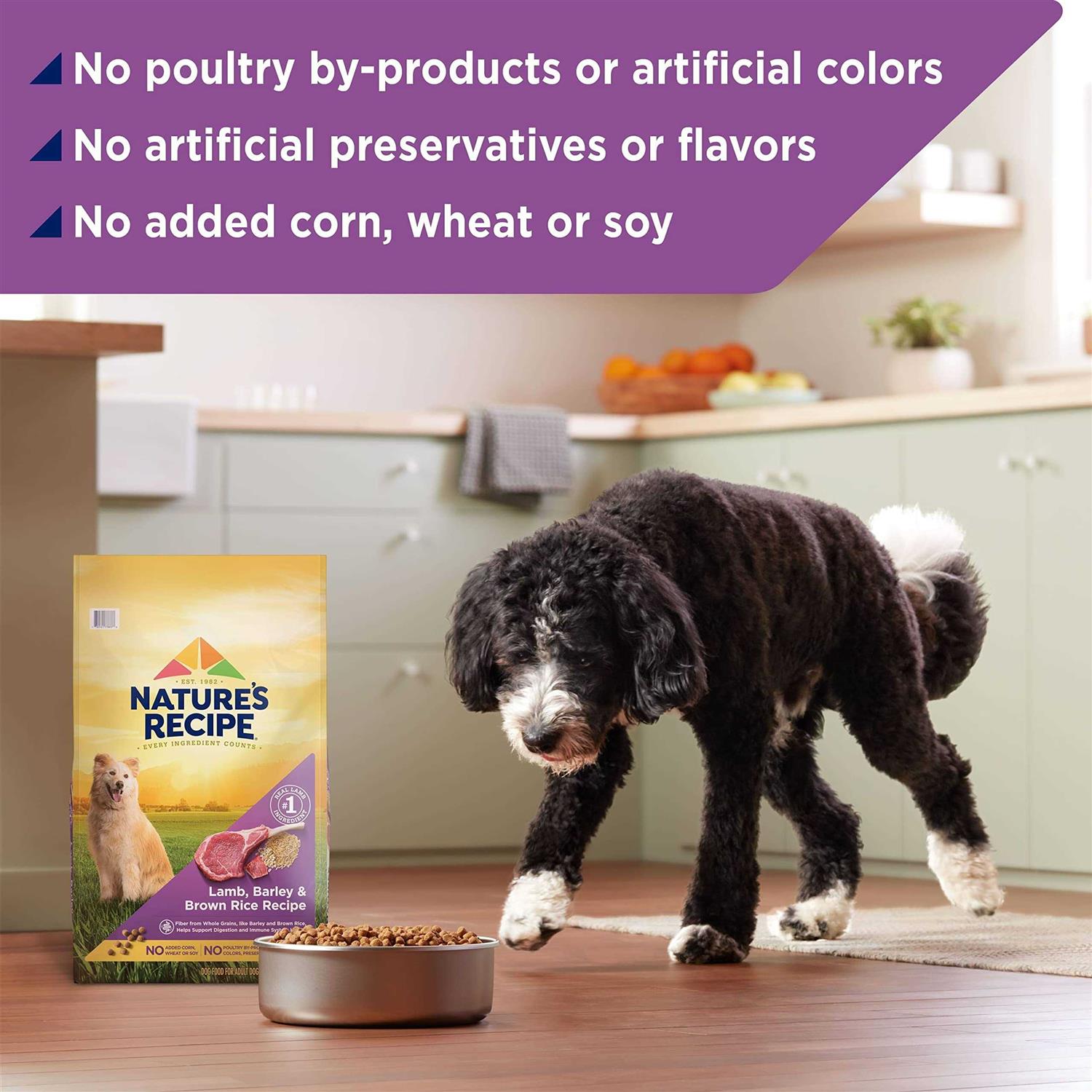 Nature’s Recipe Adult Dry Dog Food - Healthber