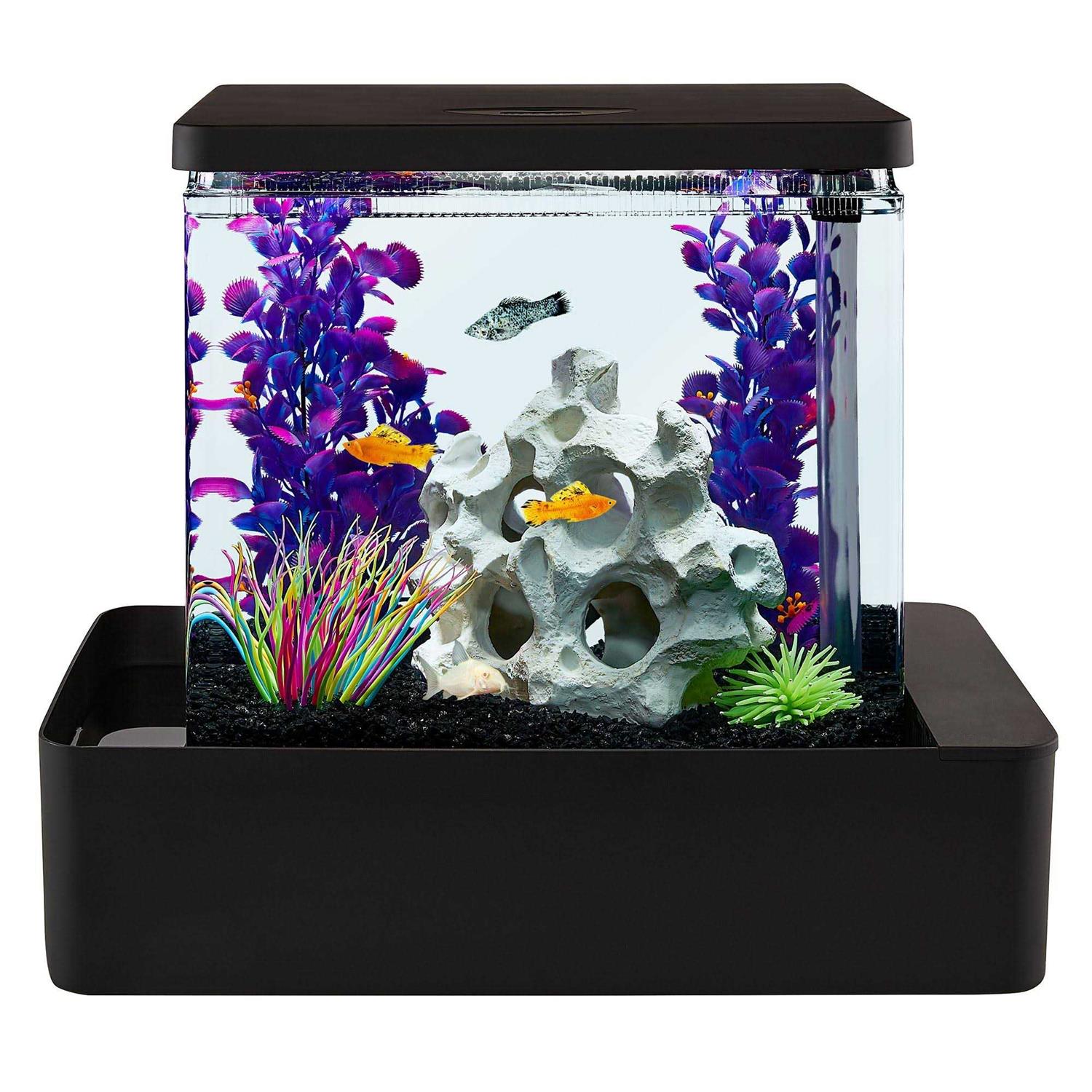Top Fin Infinity Edge Waterfall Tank - Healthber
