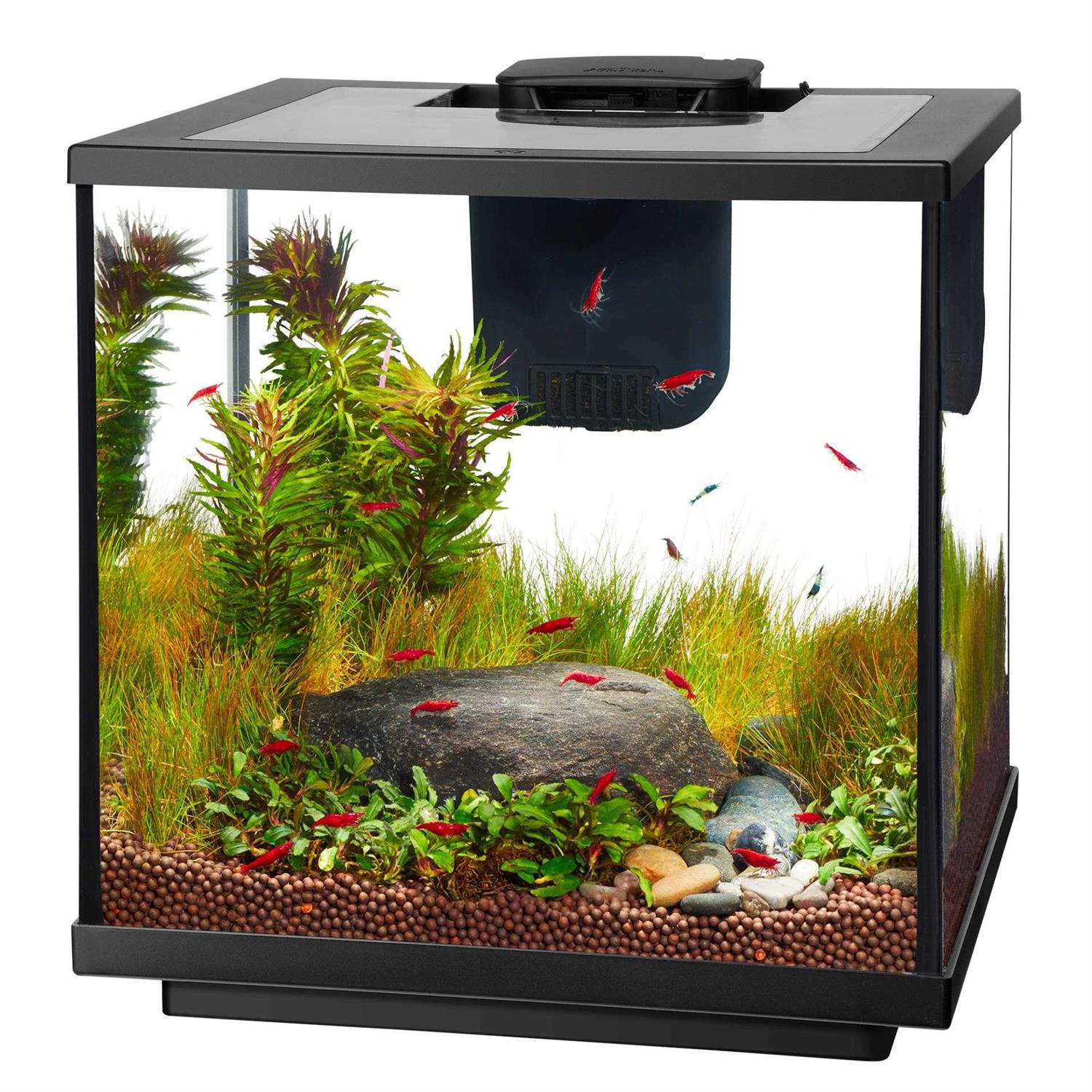 Aqueon 7.5 Gallon LED Shrimp Aquarium Kit - Healthber