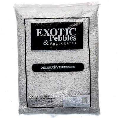 Exotic Pebbles Bean Pebbles - Healthber