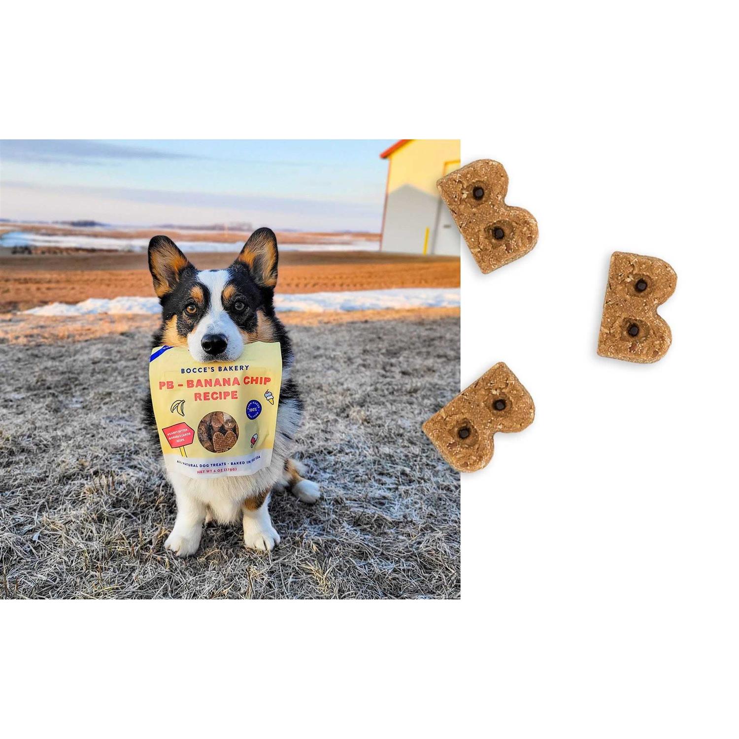Bocce’s Bakery PB Banana Chip Soft & Chewy Dog Treats - Healthber