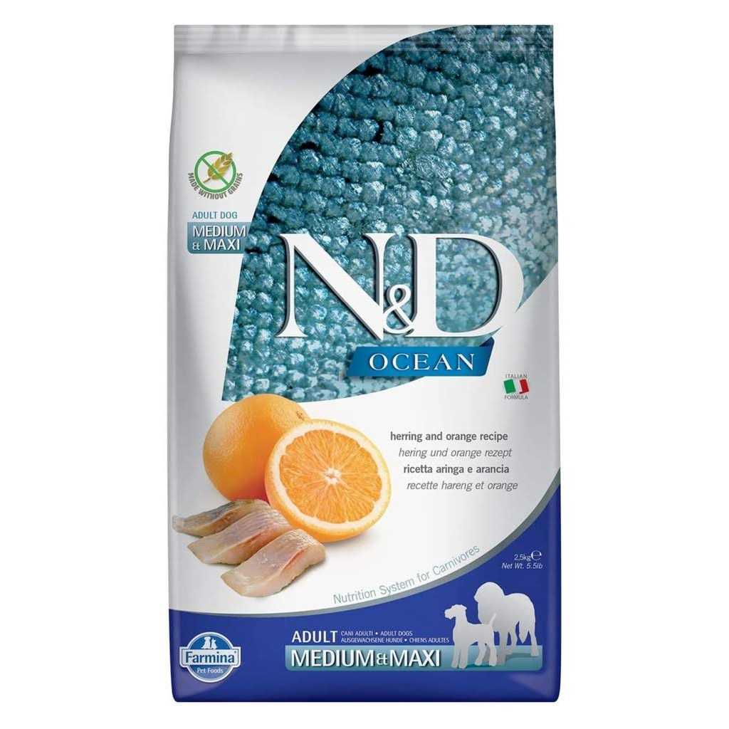 Farmina N&D Ocean Adult Medium Maxi Herring & Orange Grain Free Dry Dog Food - Healthber
