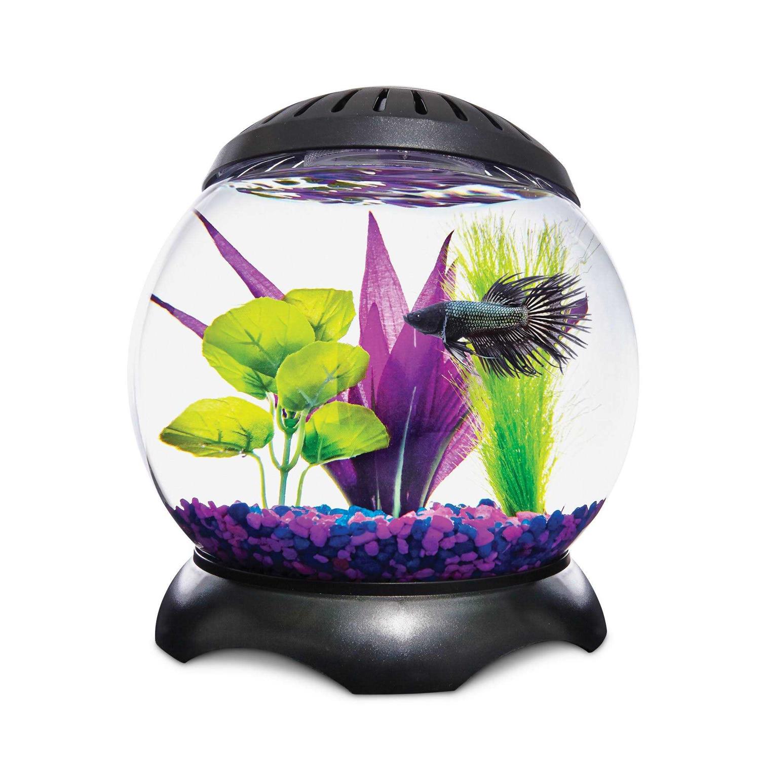 Imagitarium 1.3 Gallon Lotus Tank - Healthber