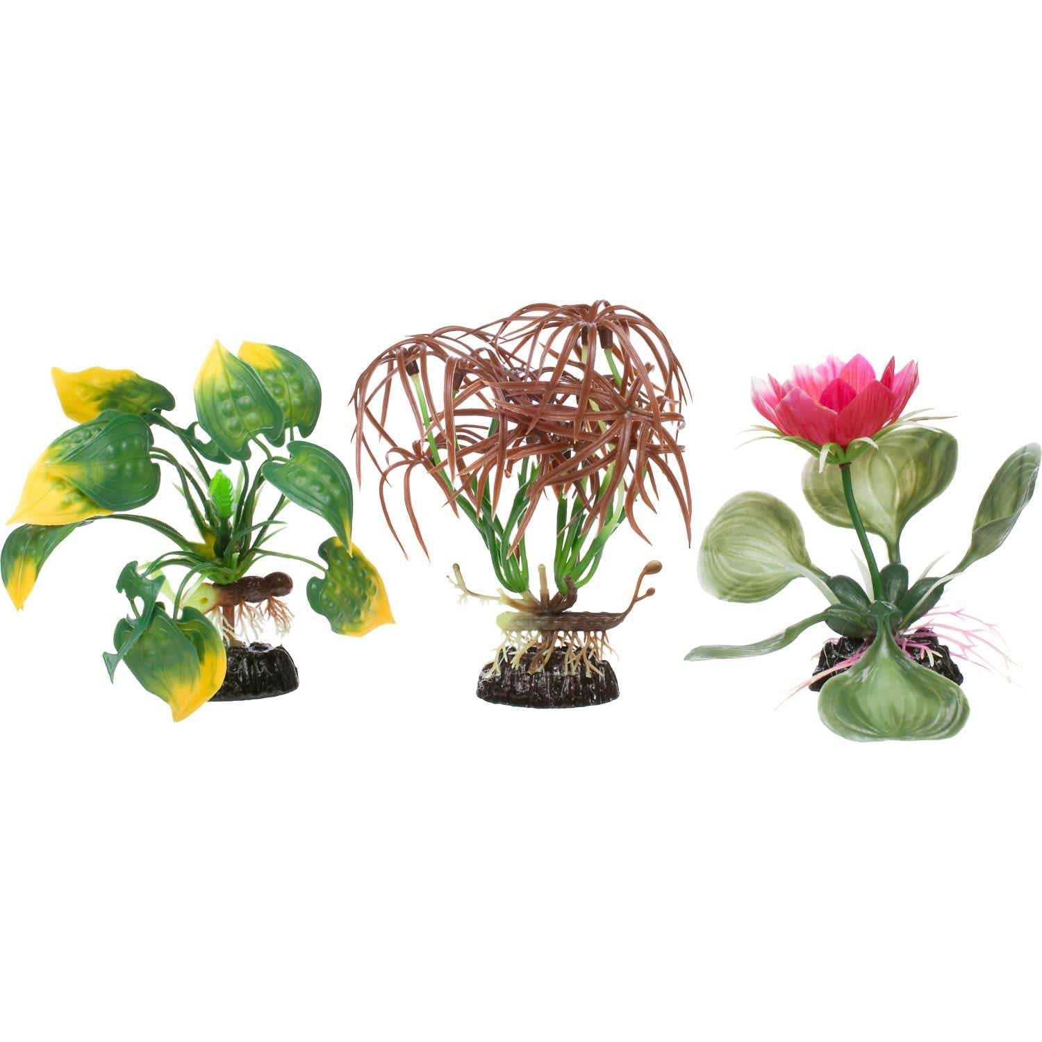 Imagitarium Floral Aquarium Plant - Healthber