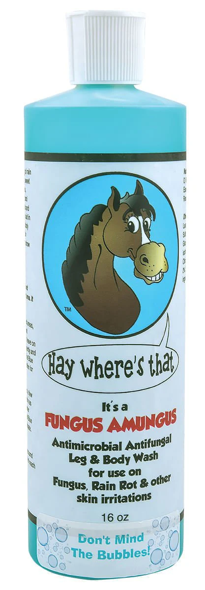 It's A Fungus Amungus, 16 oz - Healthber