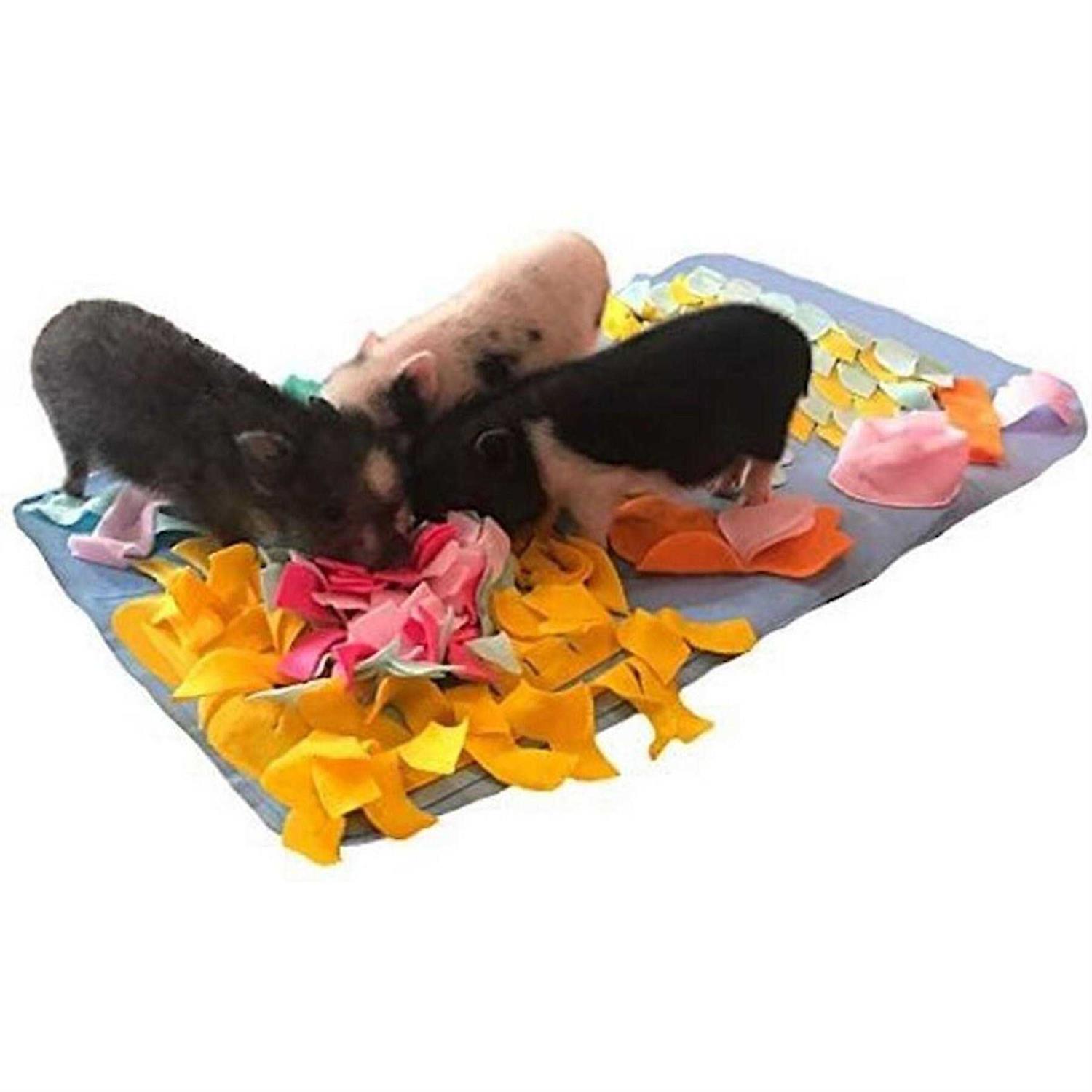Piggy Poo and Crew Pig Rooting Snuffle Mat - Healthber