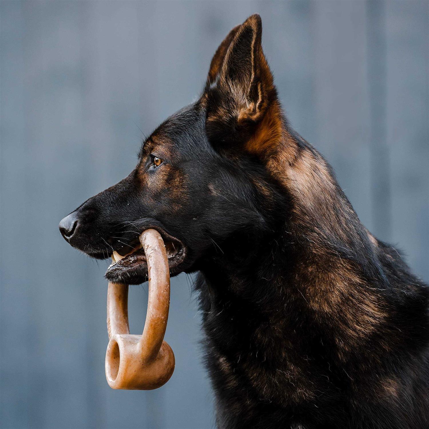Lumabone Ring Stuffer Durable Chew Toy for Aggressive Chewers - Healthber