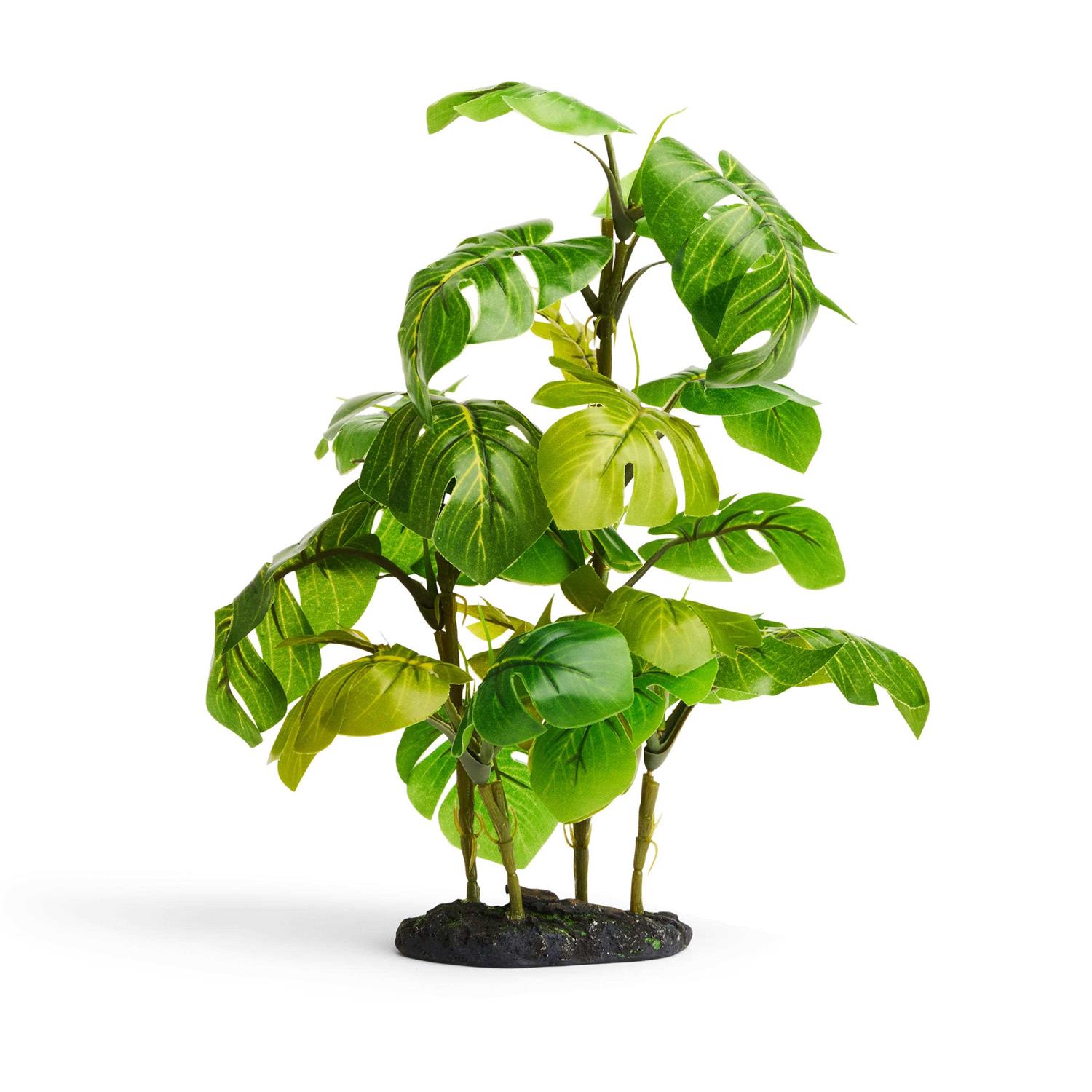 Imagitarium Stand Araceae Plant Terrarium Decor - Healthber