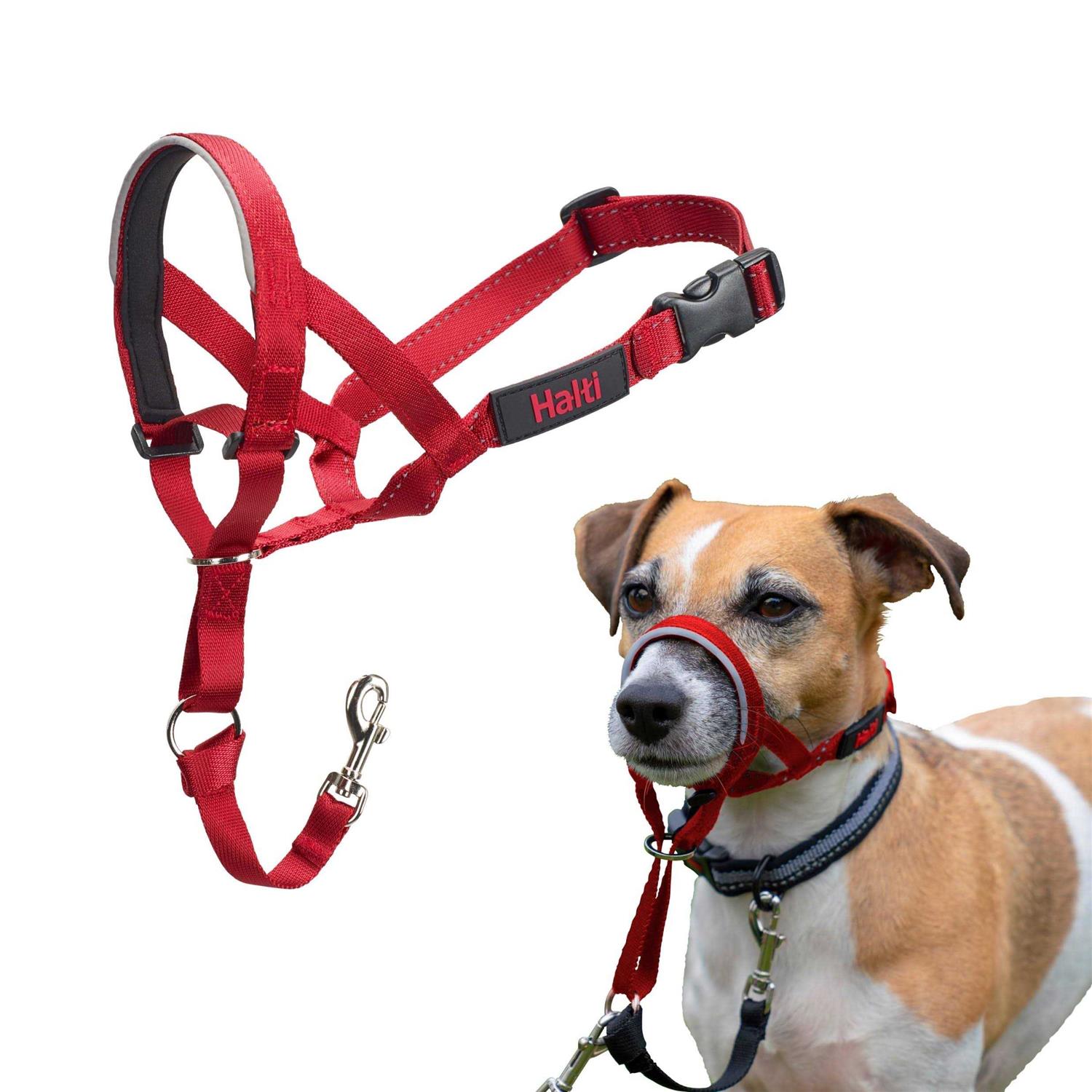 Halti Dog Headcollar - Healthber