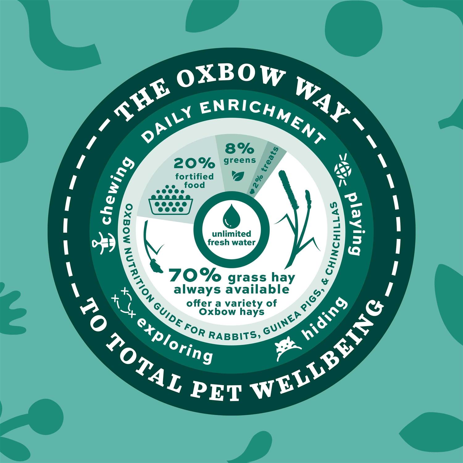 Oxbow Western Timothy/Orchard Hay Blends - Healthber