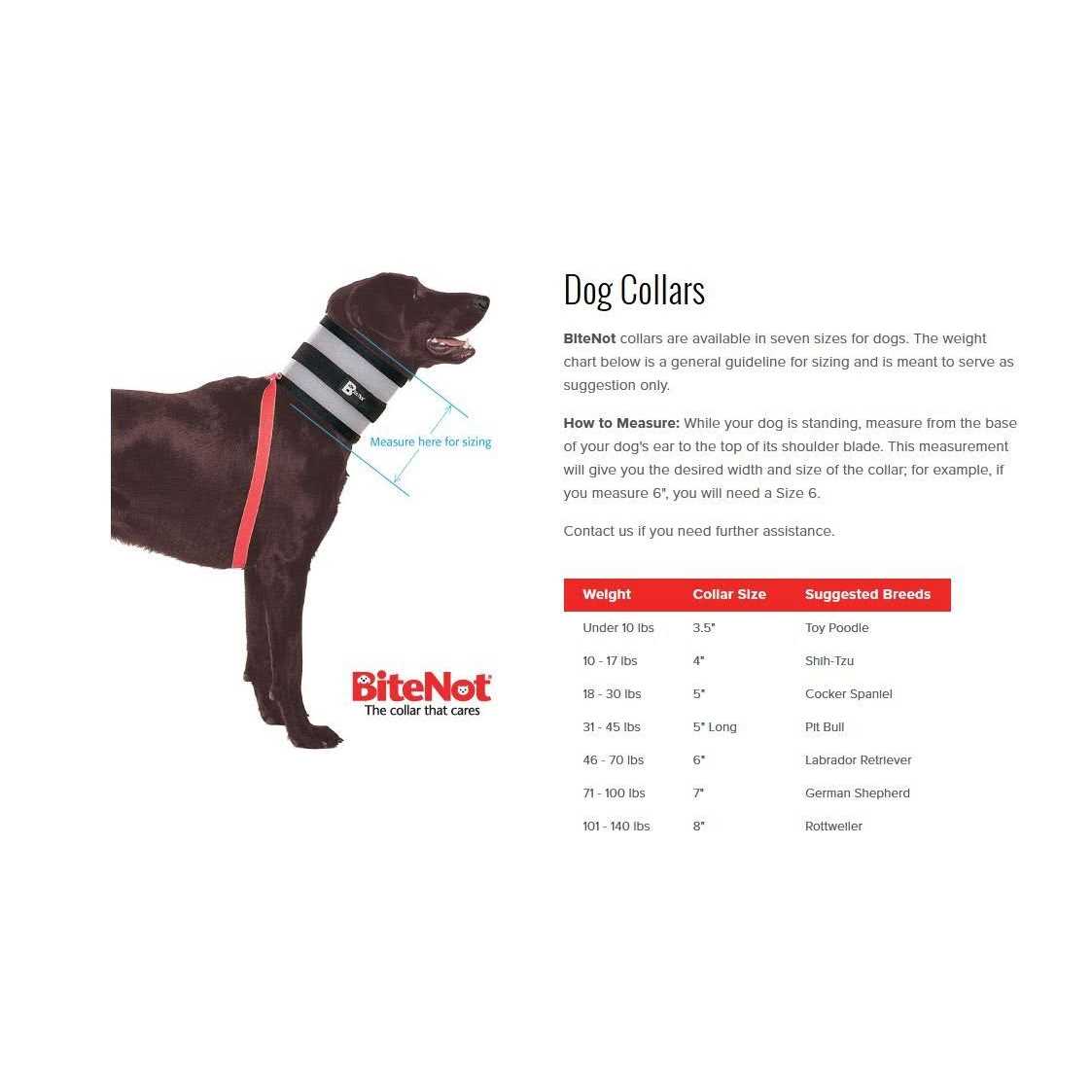 BiteNot Collar - Healthber