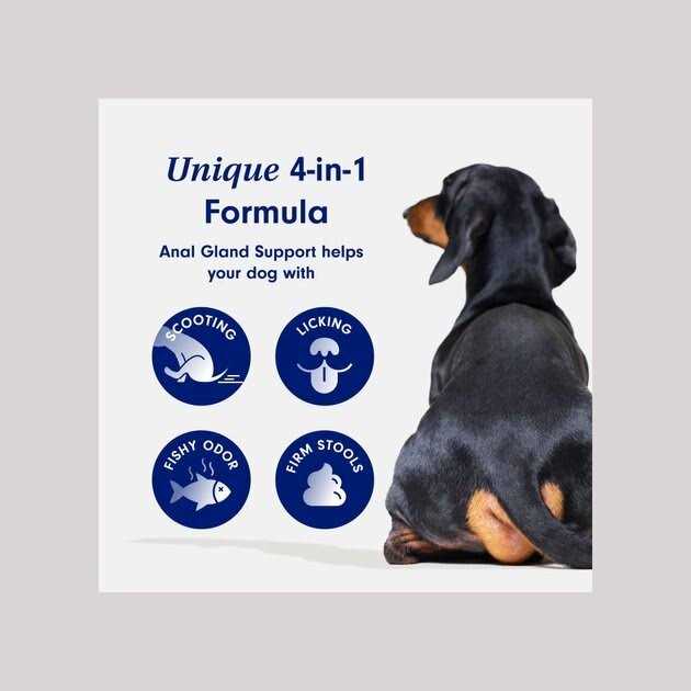 PetLab Co. Anal Gland Support Powder Supplement for Dogs - Healthber