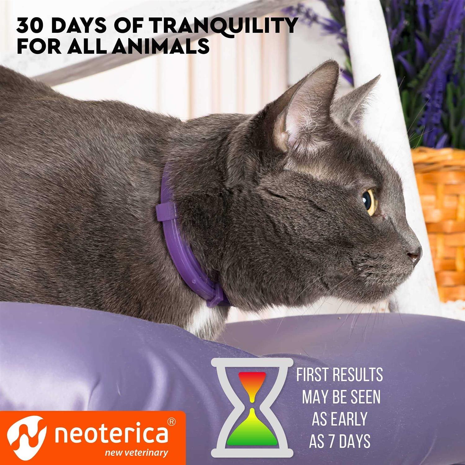 Relaxivet Cat Calming Collar & Pet Anti Anxiety Products Feline Calm Pheromones Collars & Cats Stress Relief - Healthber