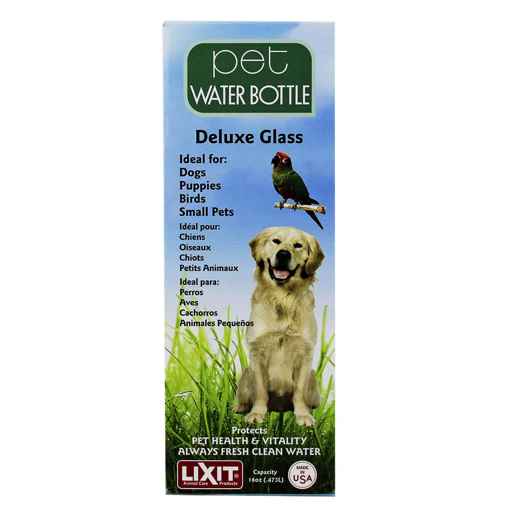 Lixit Glass Water Bottle, 16 oz with Tube - Healthber