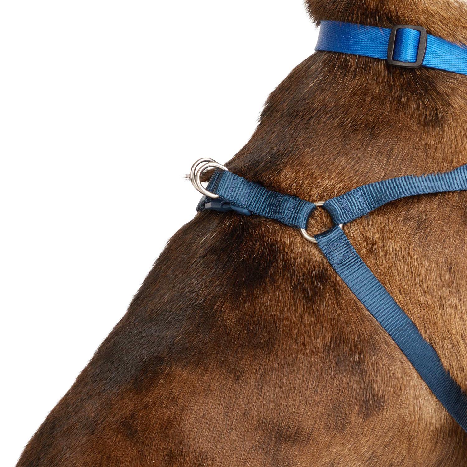 Youly the Champion Padded Step-in Dog Harness - Healthber