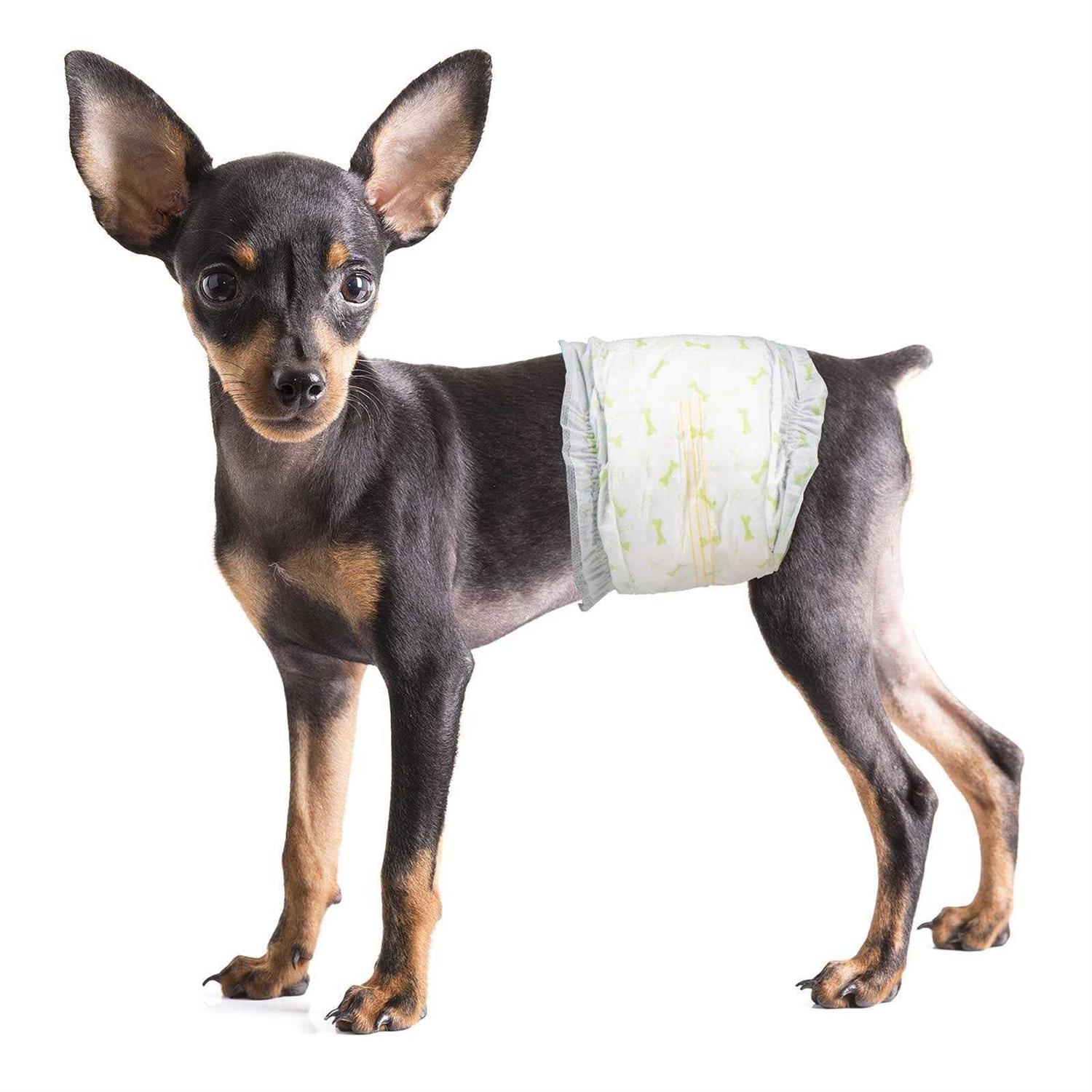 Pet Soft Disposable Male Dog Wraps Dog Diapers for Male Dogs - Healthber