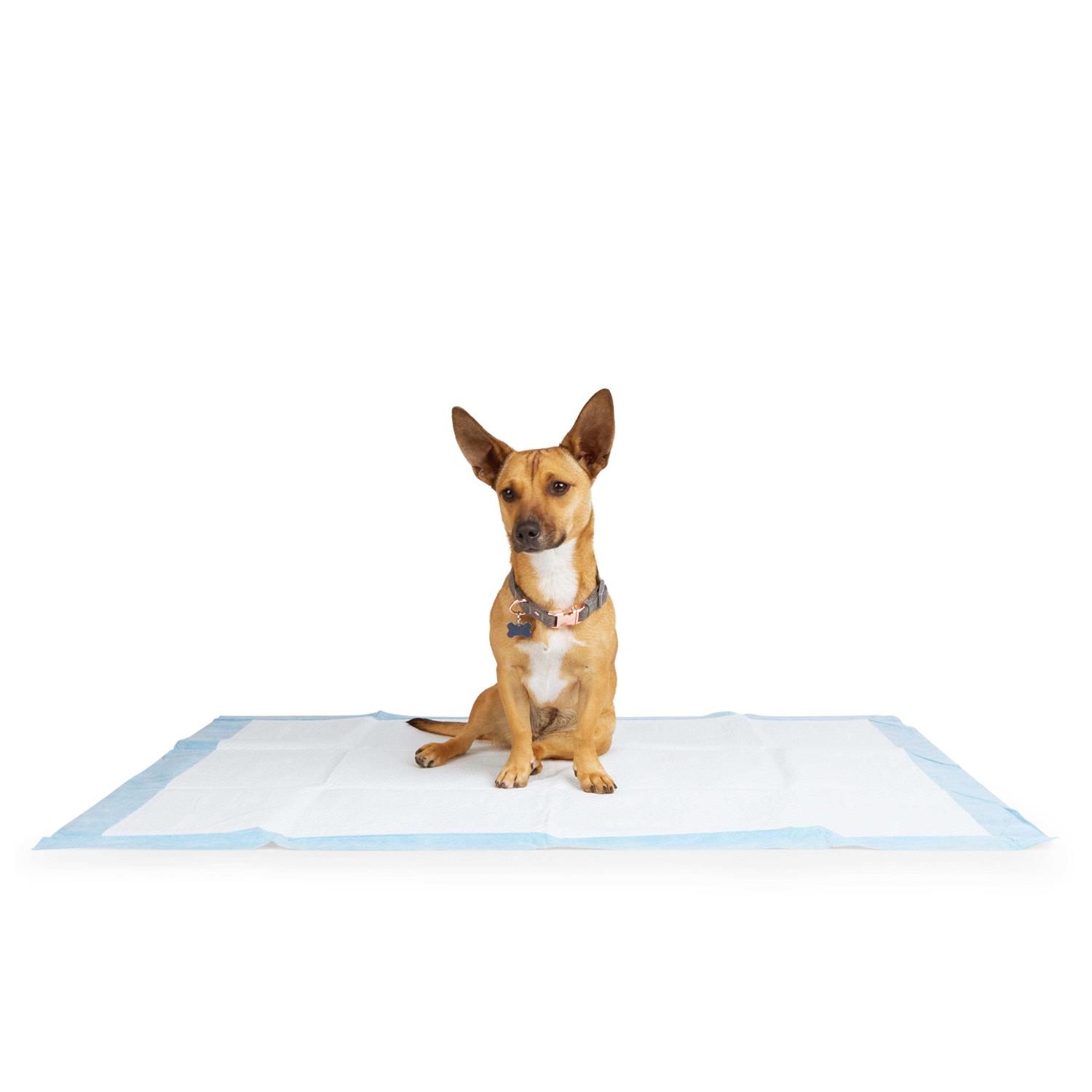 So Phresh Maximum Absorbency XX-Large Leak Shield Potty Pads - Healthber