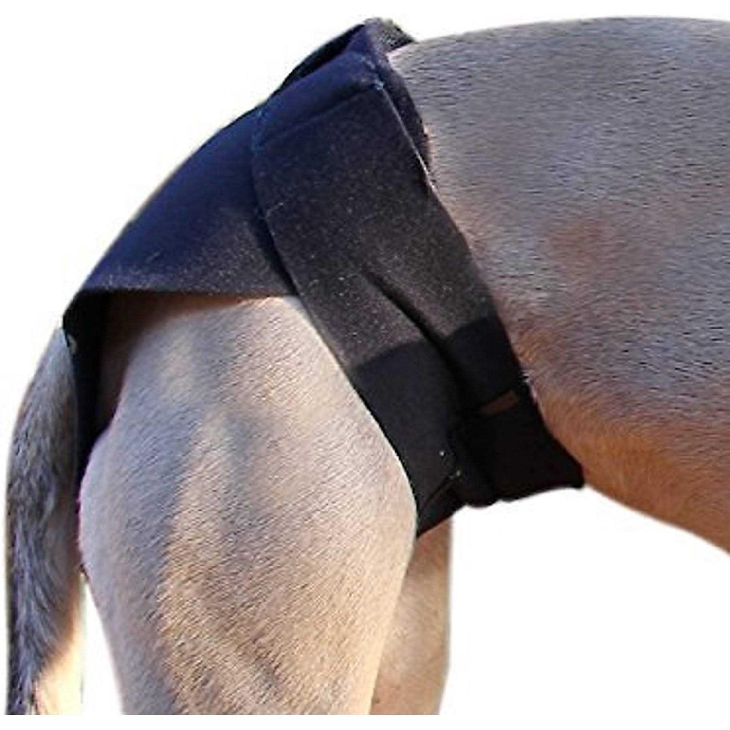 Healers Body Rear Module Dog Wrap - Healthber