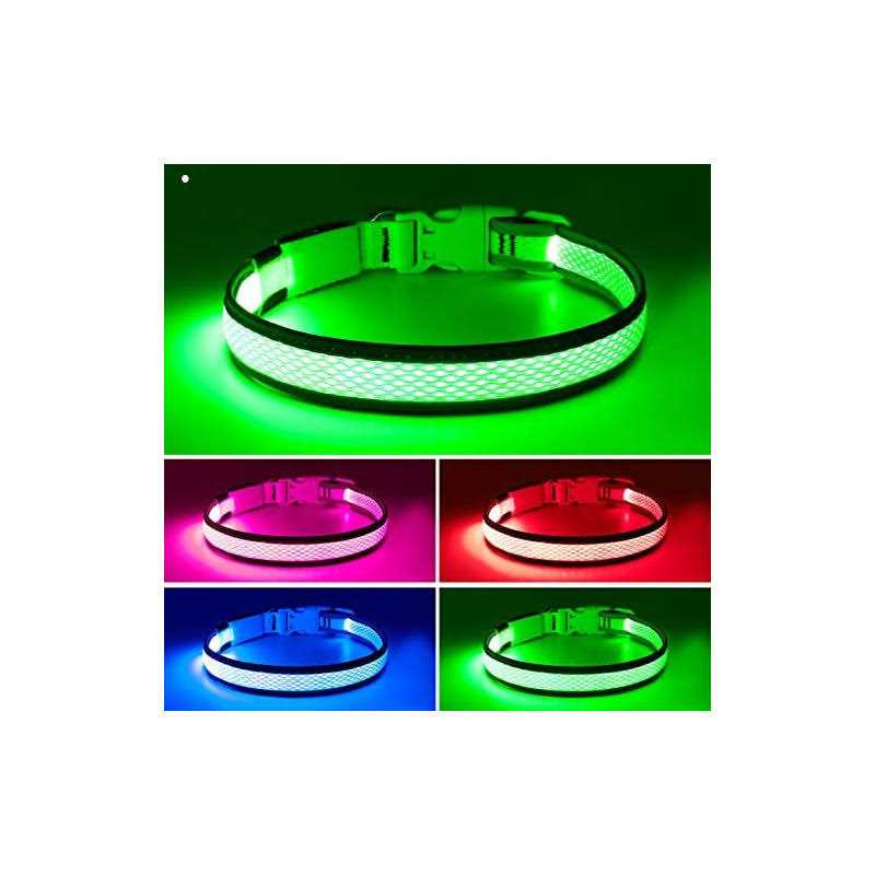 Flashseen LED Dog Collar USB Rechargeable Light Up Dog Collar Lights - Healthber