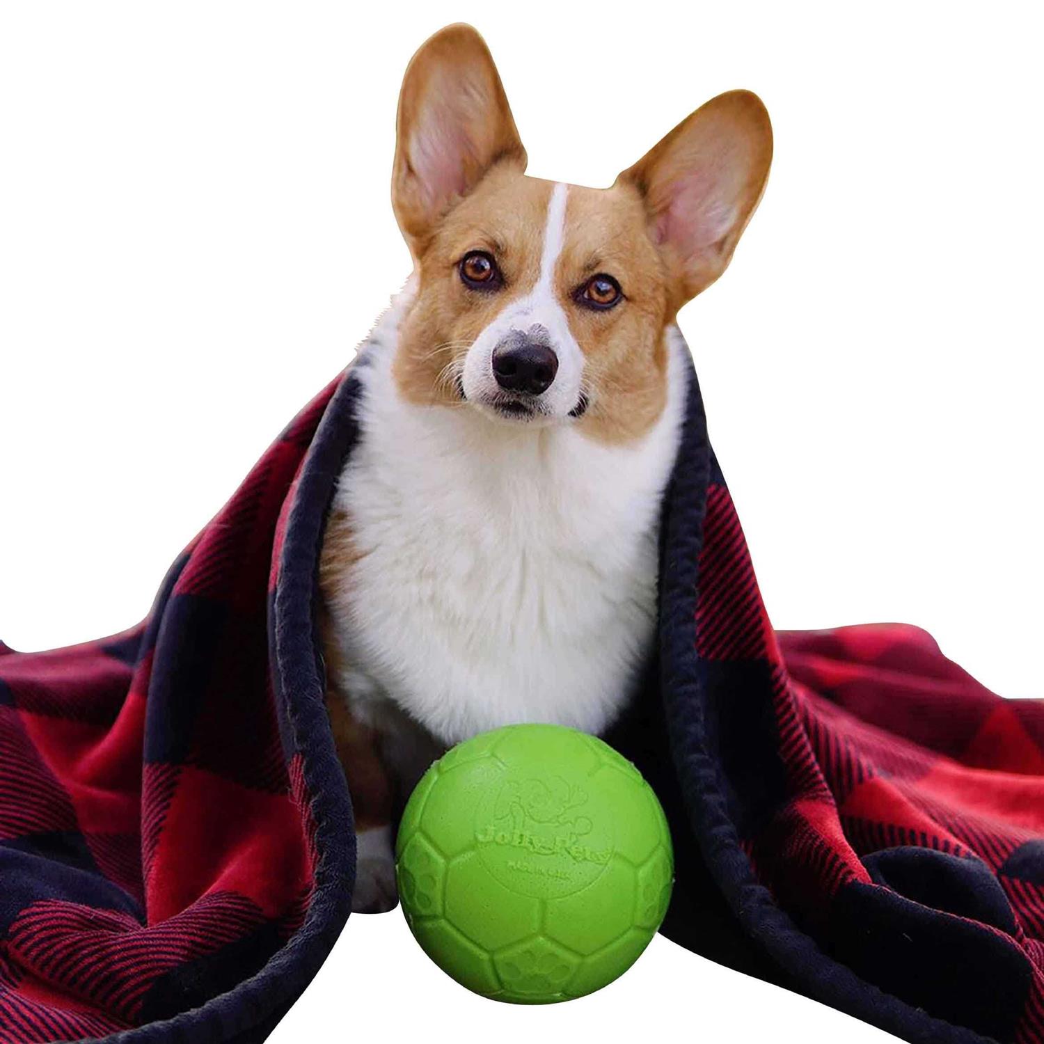 Jolly Pets Soccer Ball - Healthber