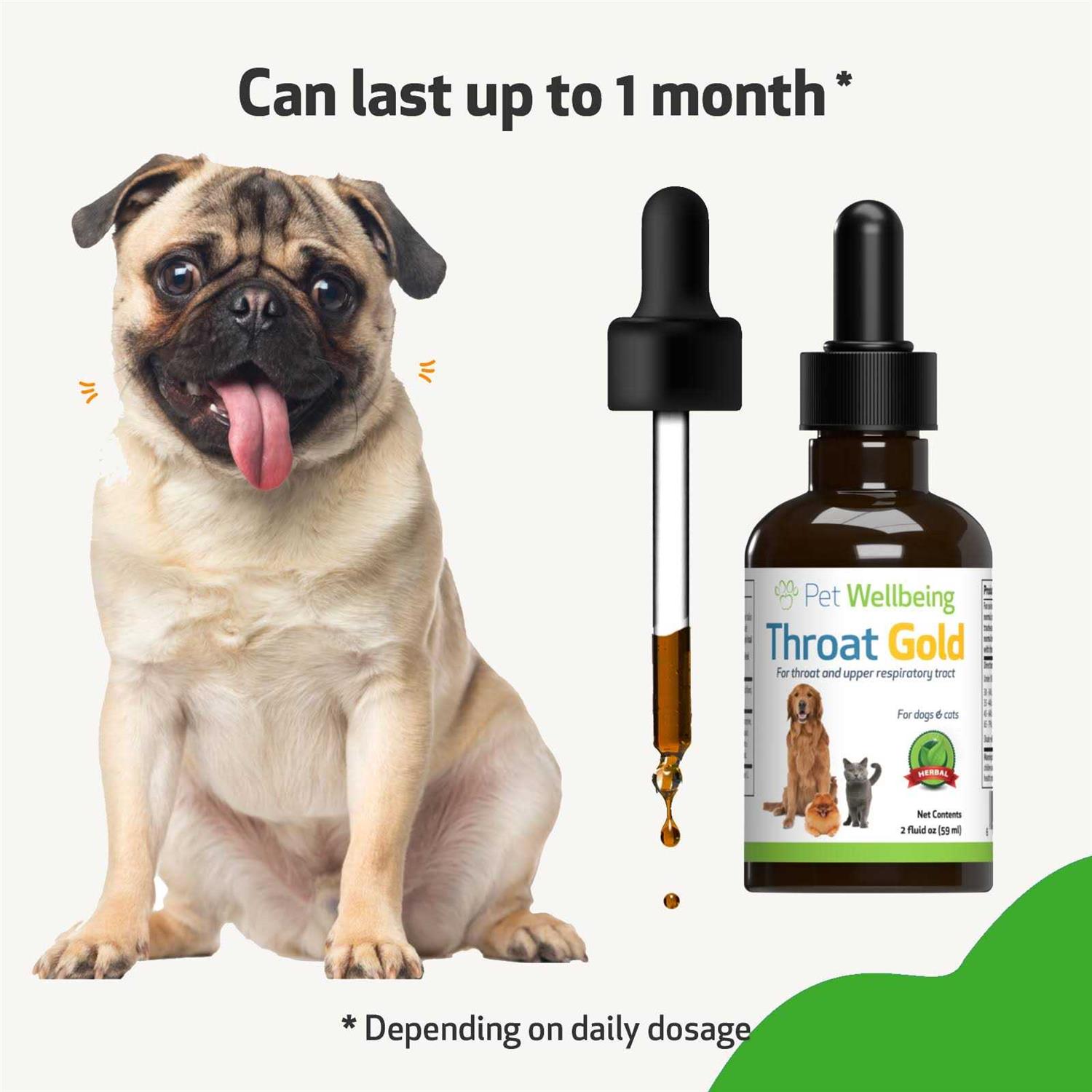 Pet Wellbeing Throat Gold Cough Throat Soother for Dogs - Healthber