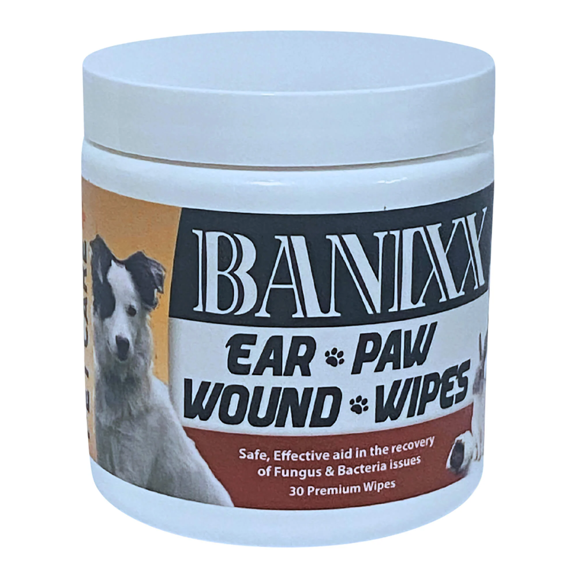 Banixx Pet Care Ear Paw & Wound Wipes, 30 ct - Healthber