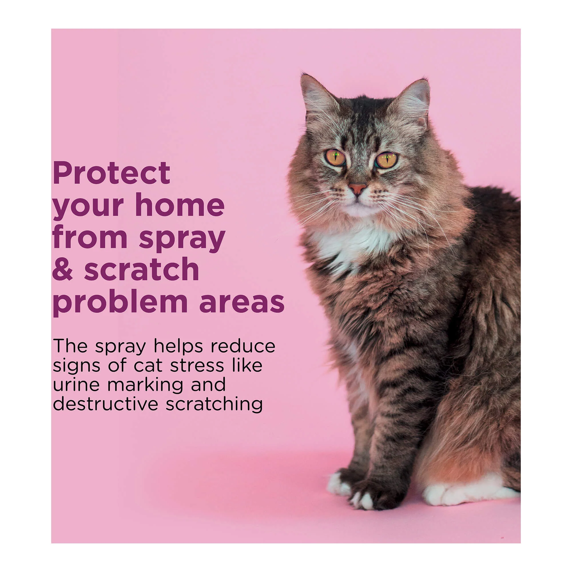 Comfort Zone Scratch Deterrent and Calming Spray - Healthber