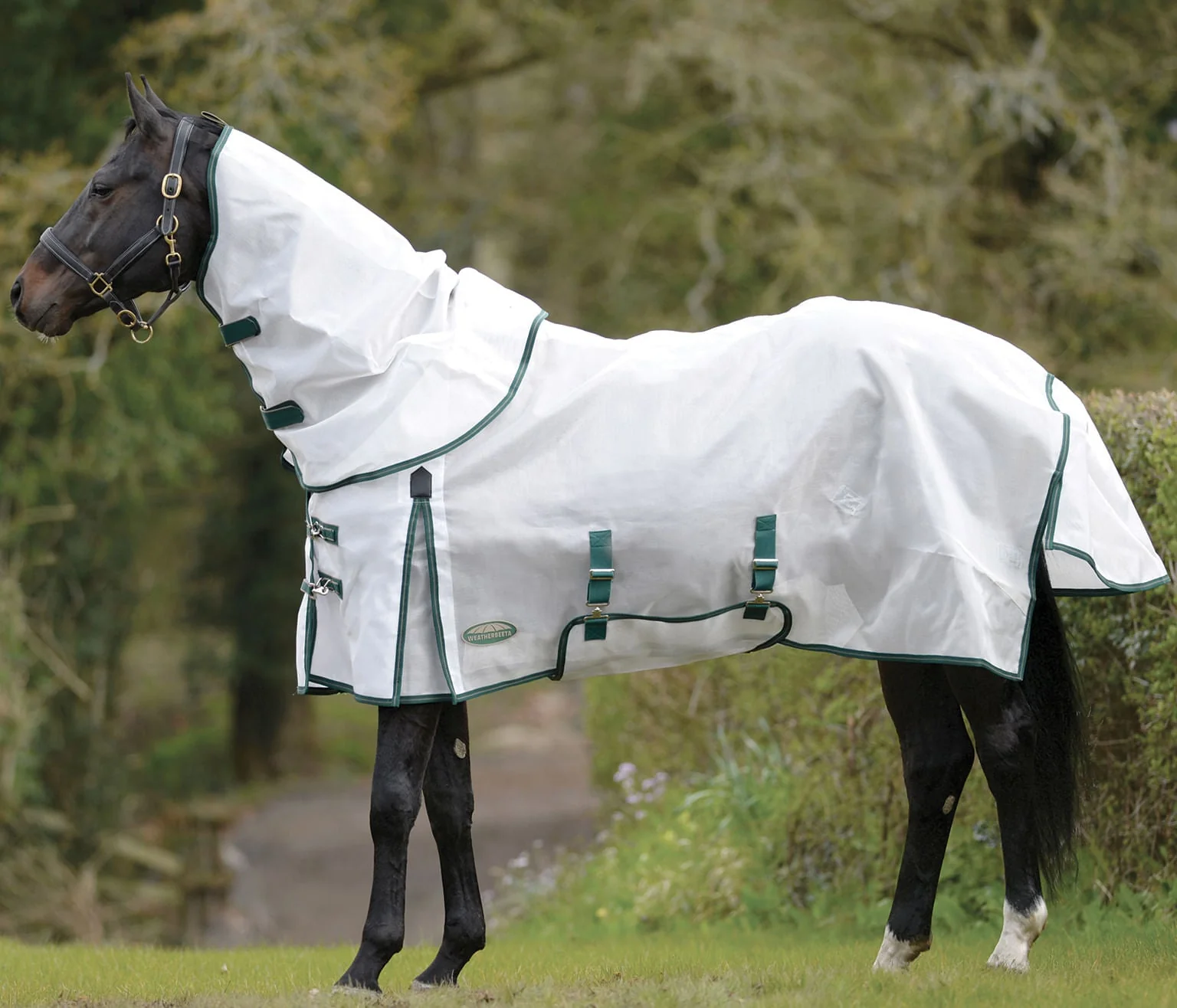 Weatherbeeta ComFITec Dura-Mesh Detach-A-Neck Horse Fly Sheet - Healthber