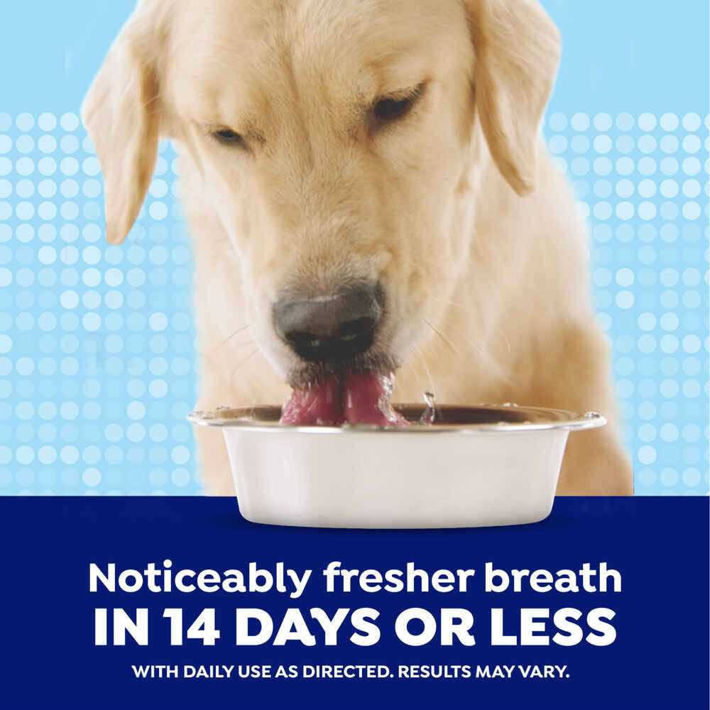 Naturel Promise Fresh Dental Water Additive - Healthber