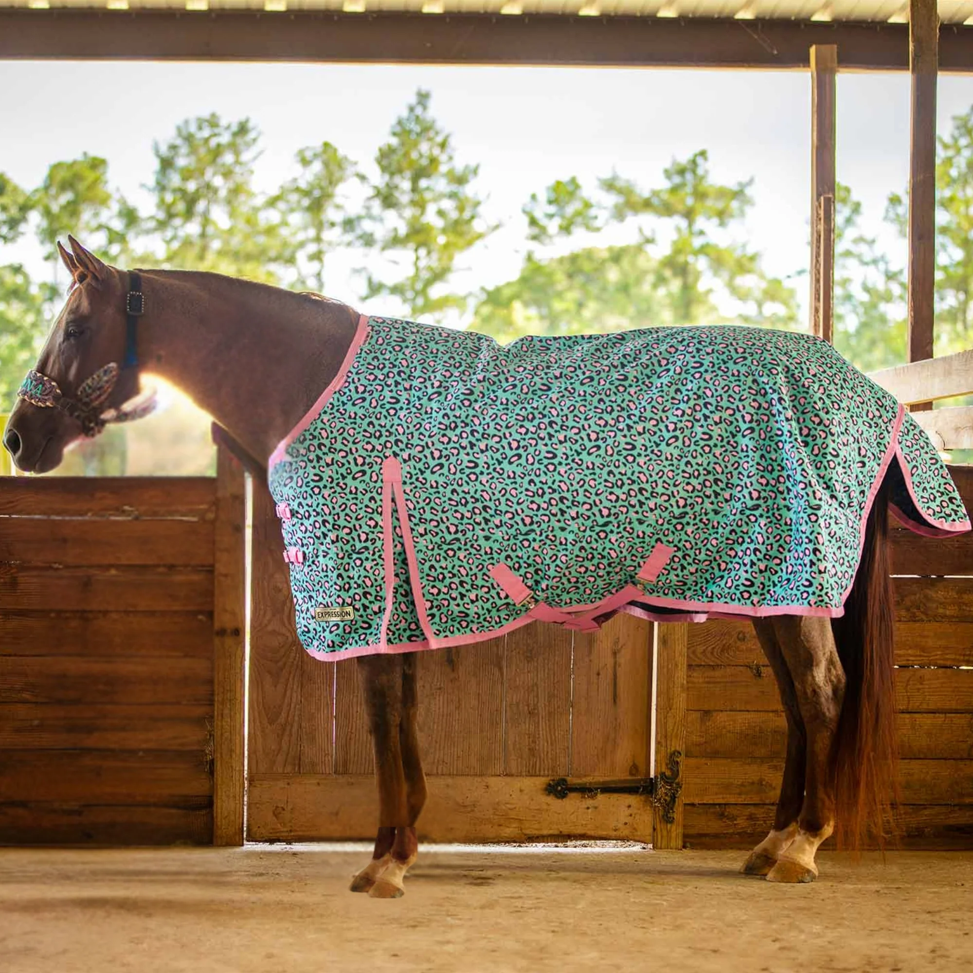 Expression 1200 Denier Standard Neck Turnout Blanket, 240 Gram, Party Cheetah - Healthber