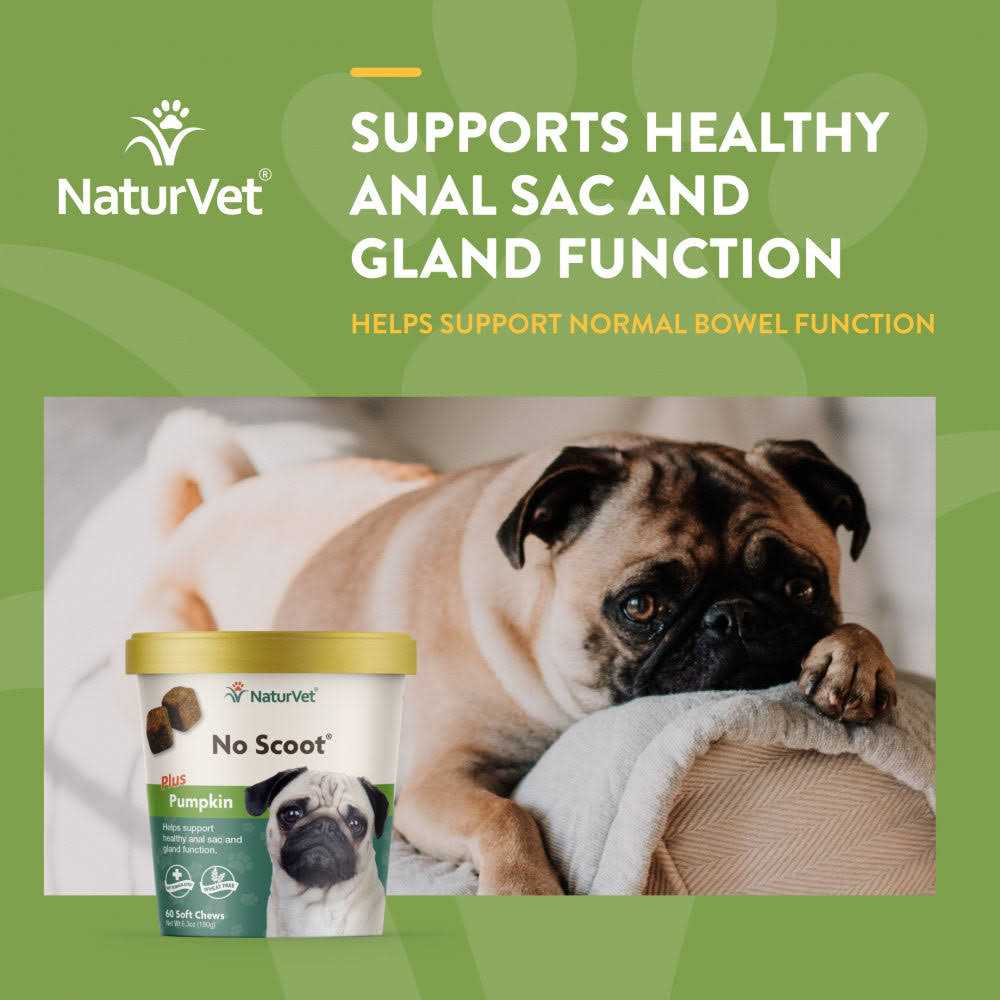 NaturVet No Scoot Plus Pumpkin for Dogs - Healthber