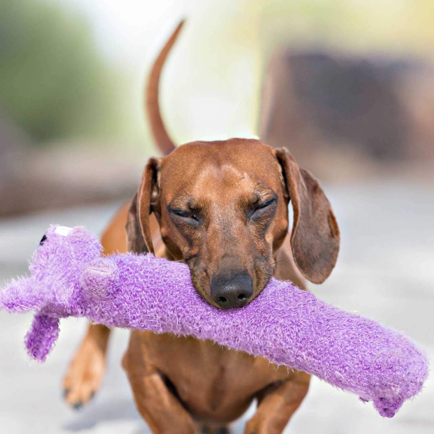 Multipet Loofa Dog Toy - Healthber
