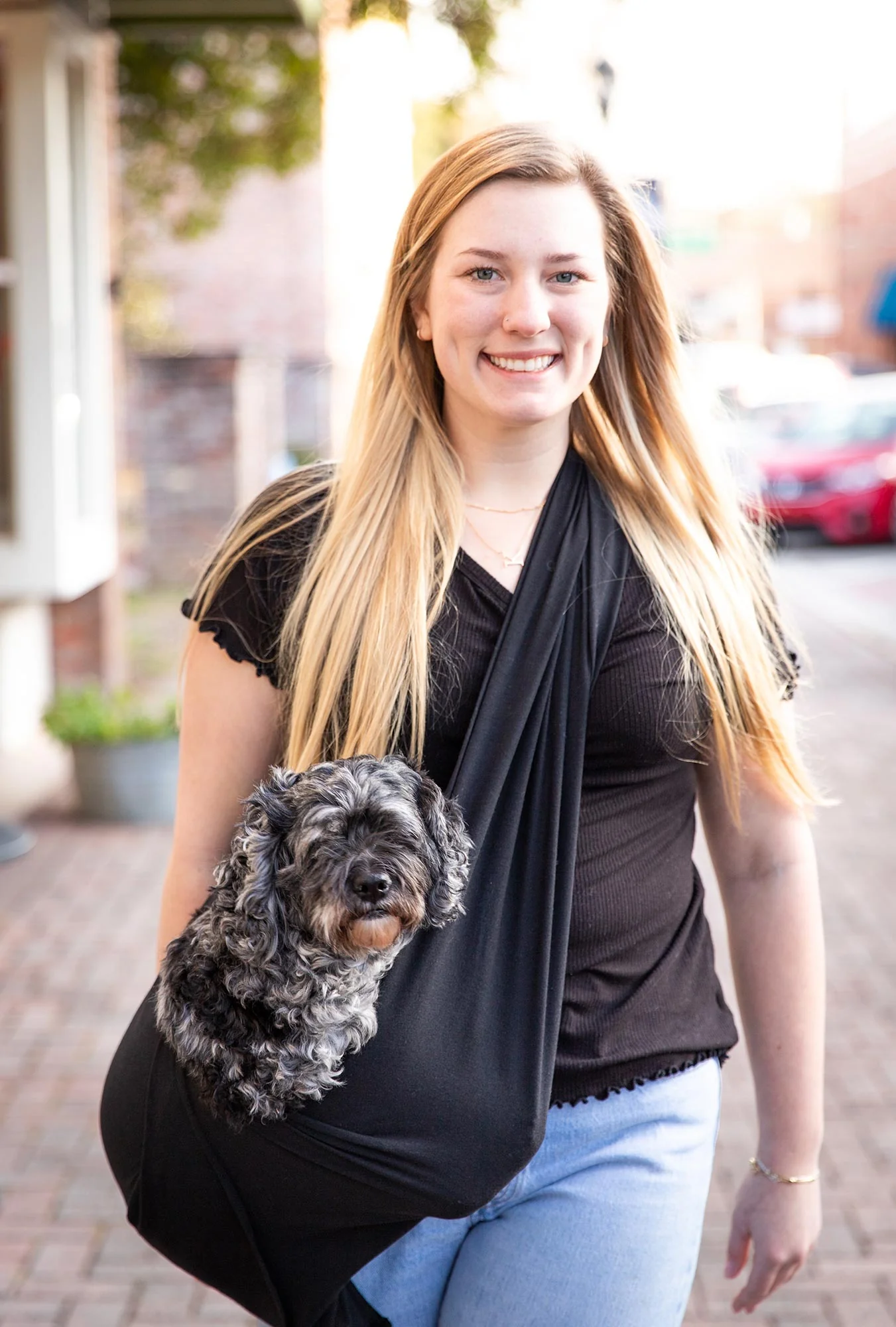 Walking Palm Dog Sling Carrier - Healthber